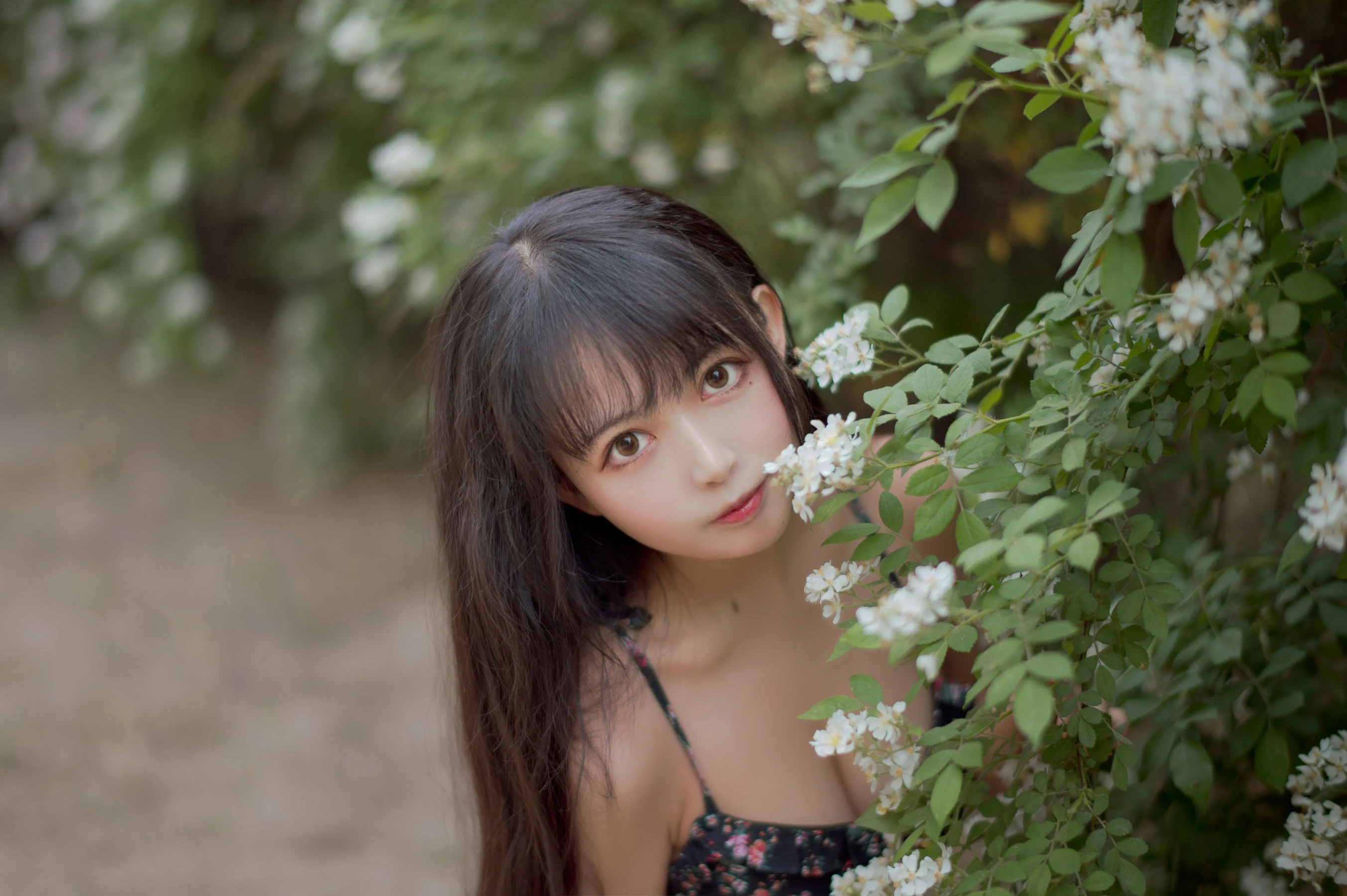 大眼萌妹黑猫猫OvO – 蔷薇1插图7