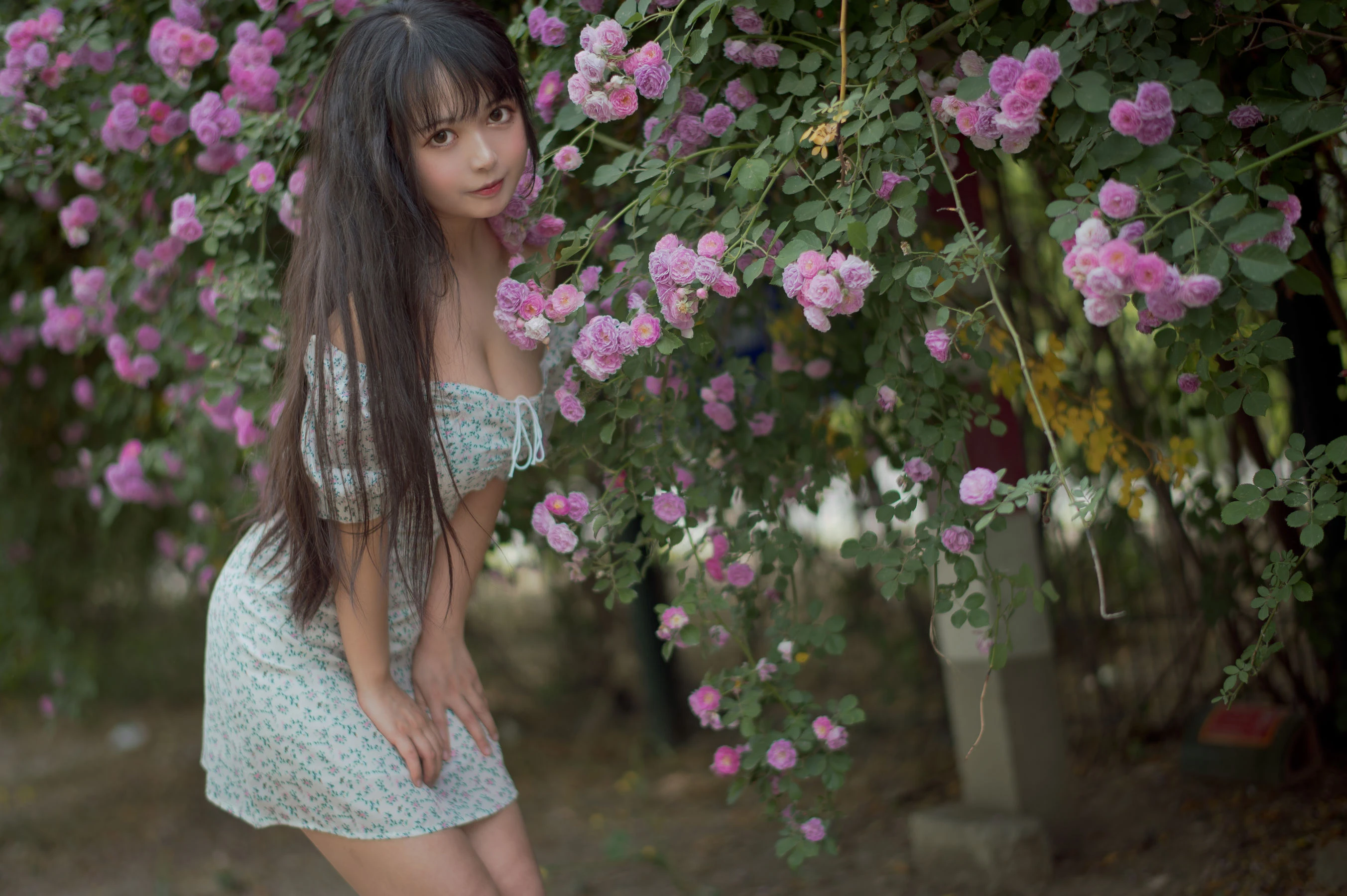 大眼萌妹黑猫猫OvO – 蔷薇2插图5