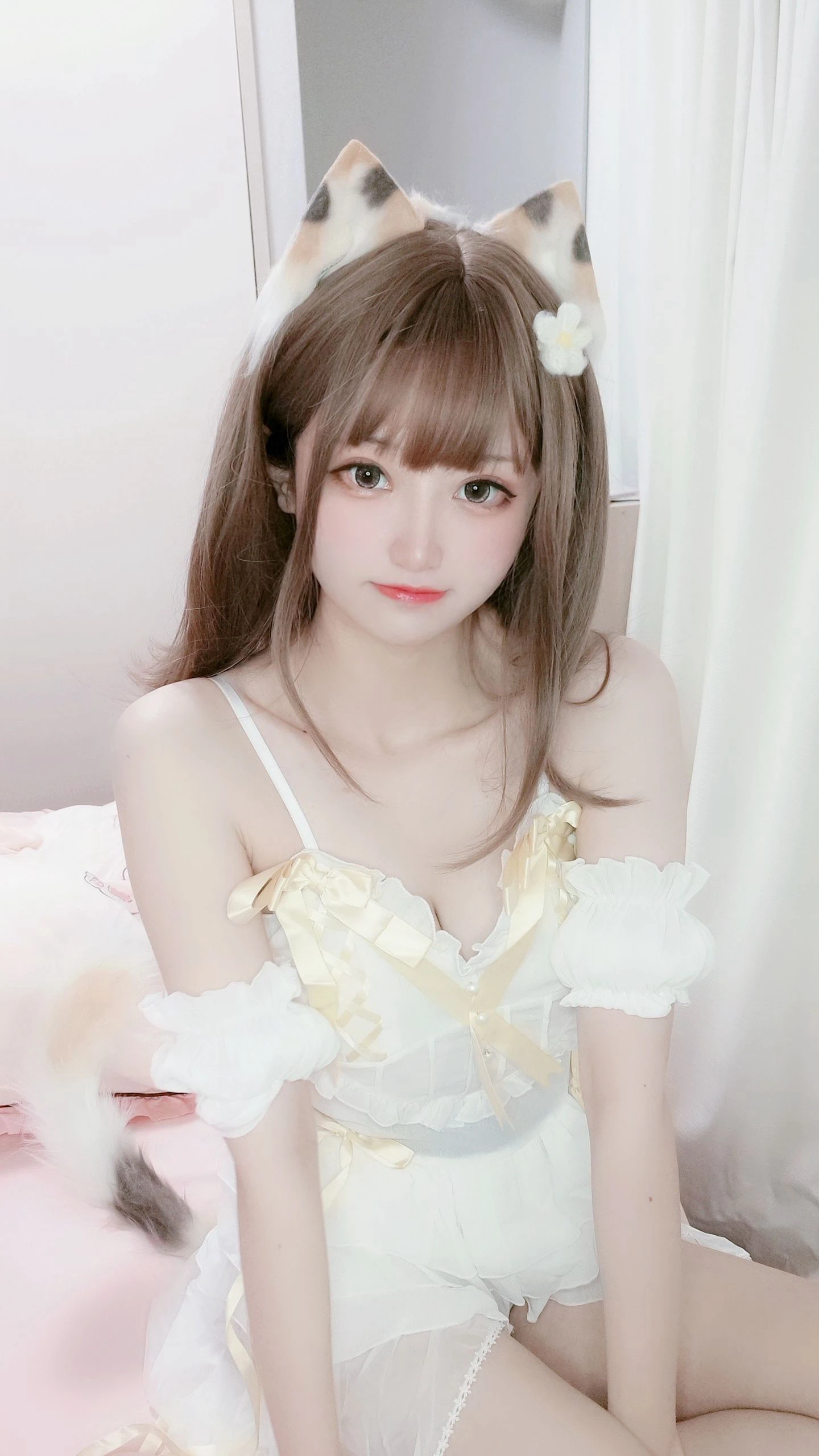 千阳(ちよ) – 三花猫插图6