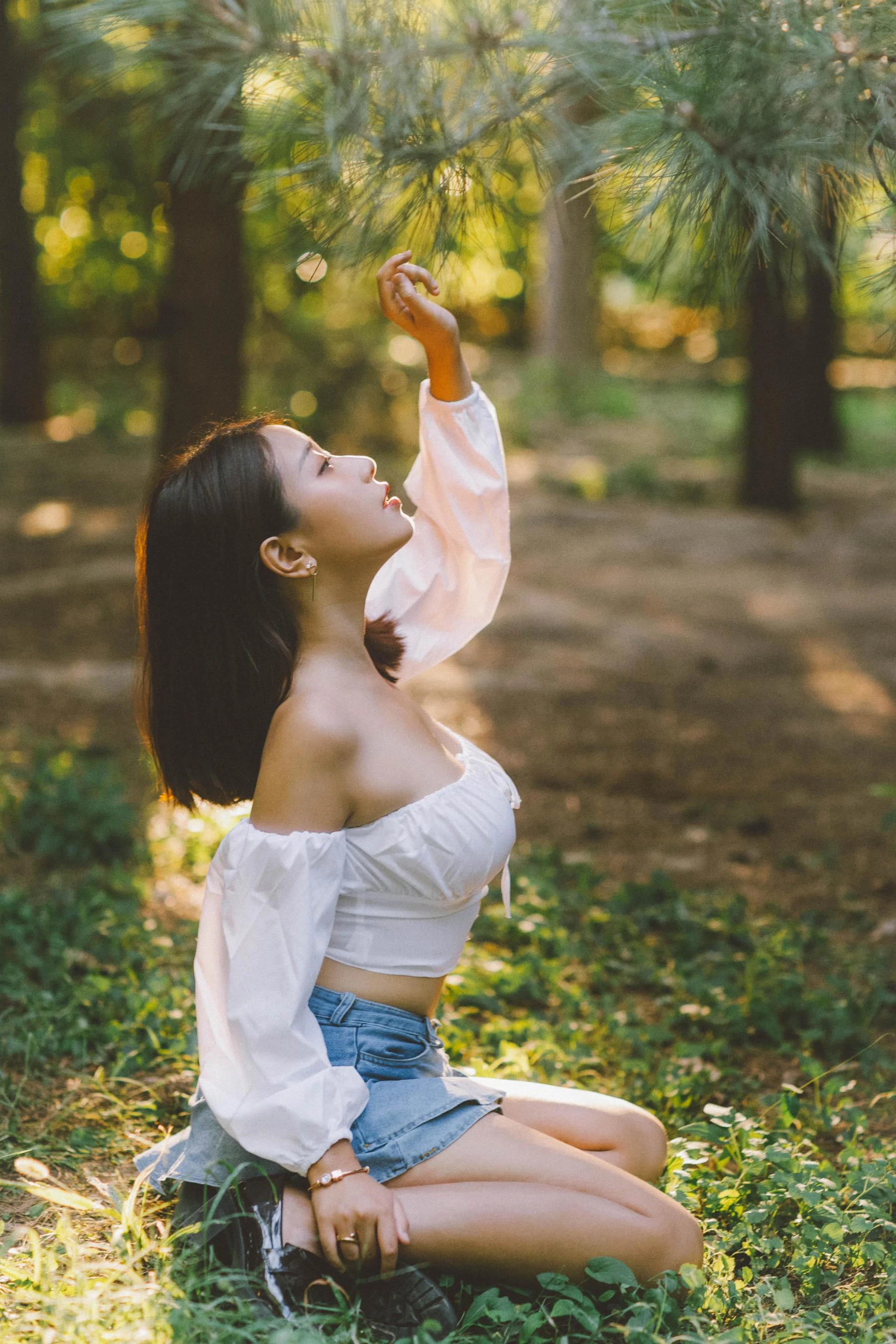 动漫博主穆零Mu0 – 森林插图4