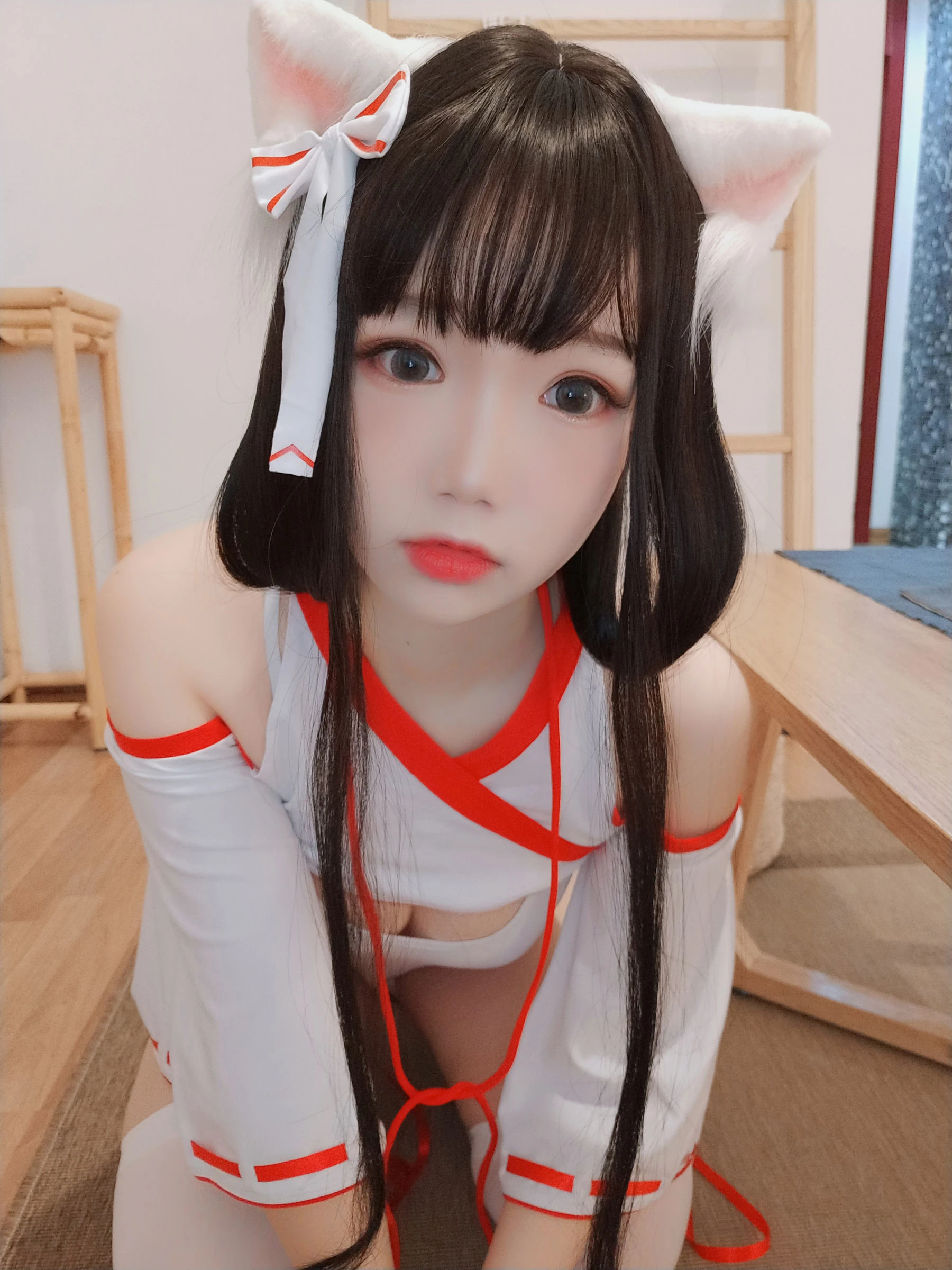 动漫博主雪晴Astra 神社の猫插图7