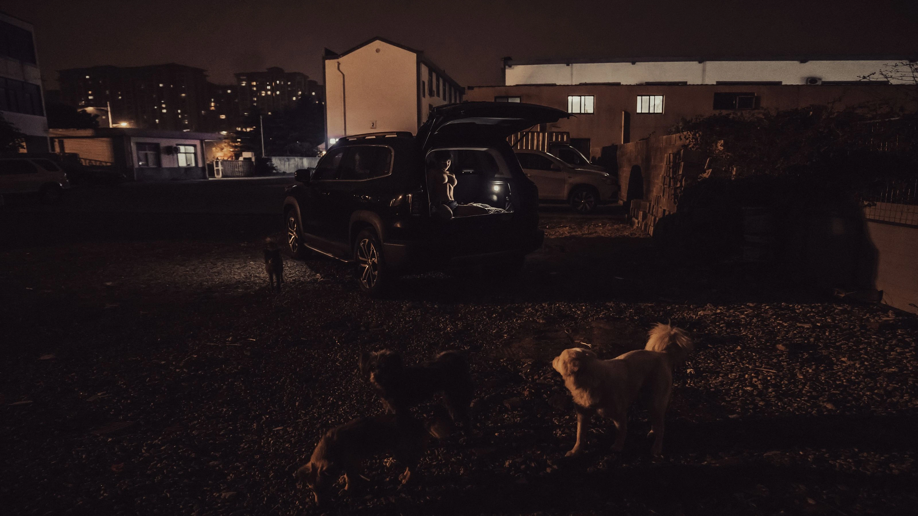 美少女晕崽 – 工地日记插图3