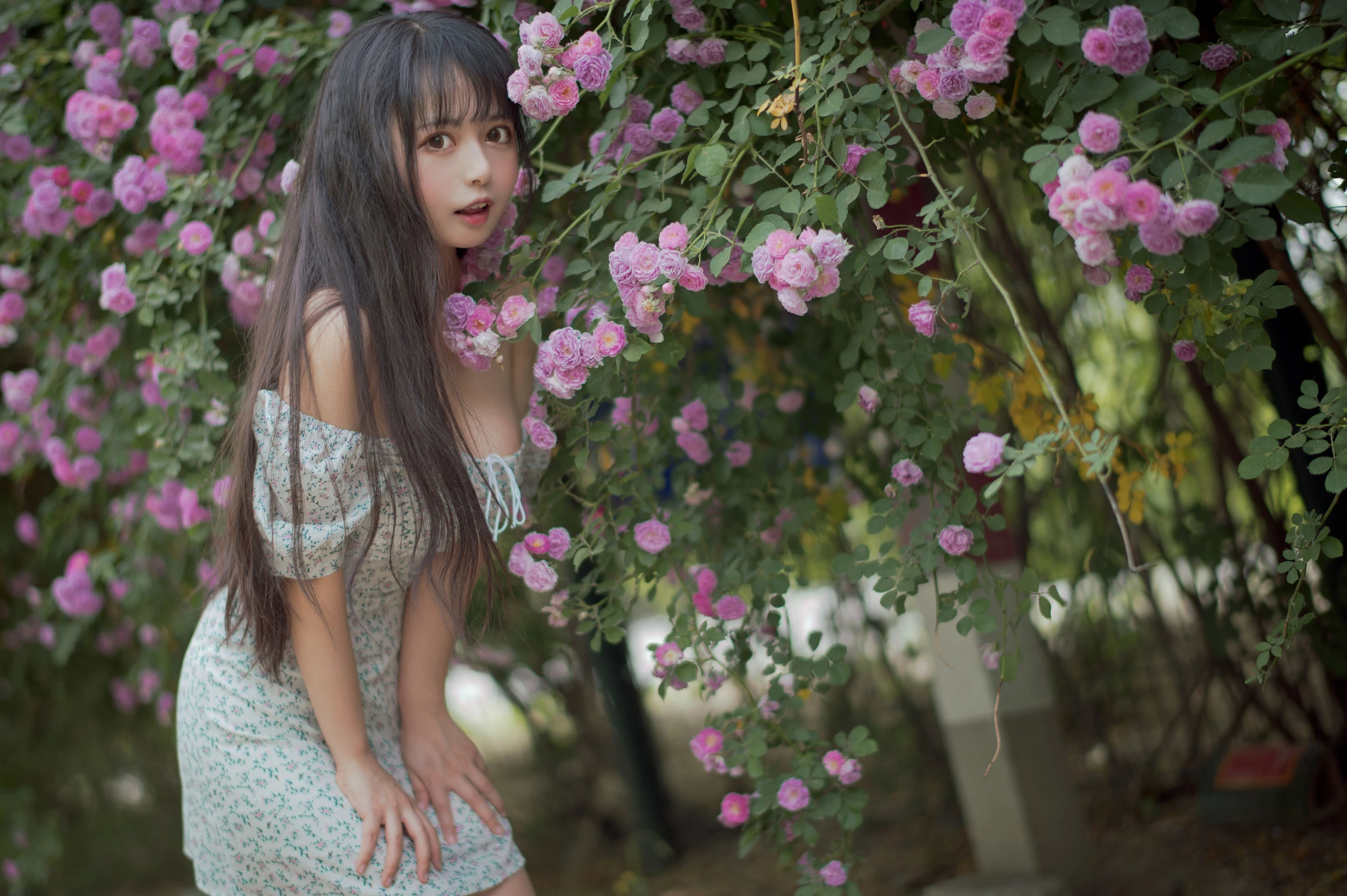 大眼萌妹黑猫猫OvO – 蔷薇2插图6