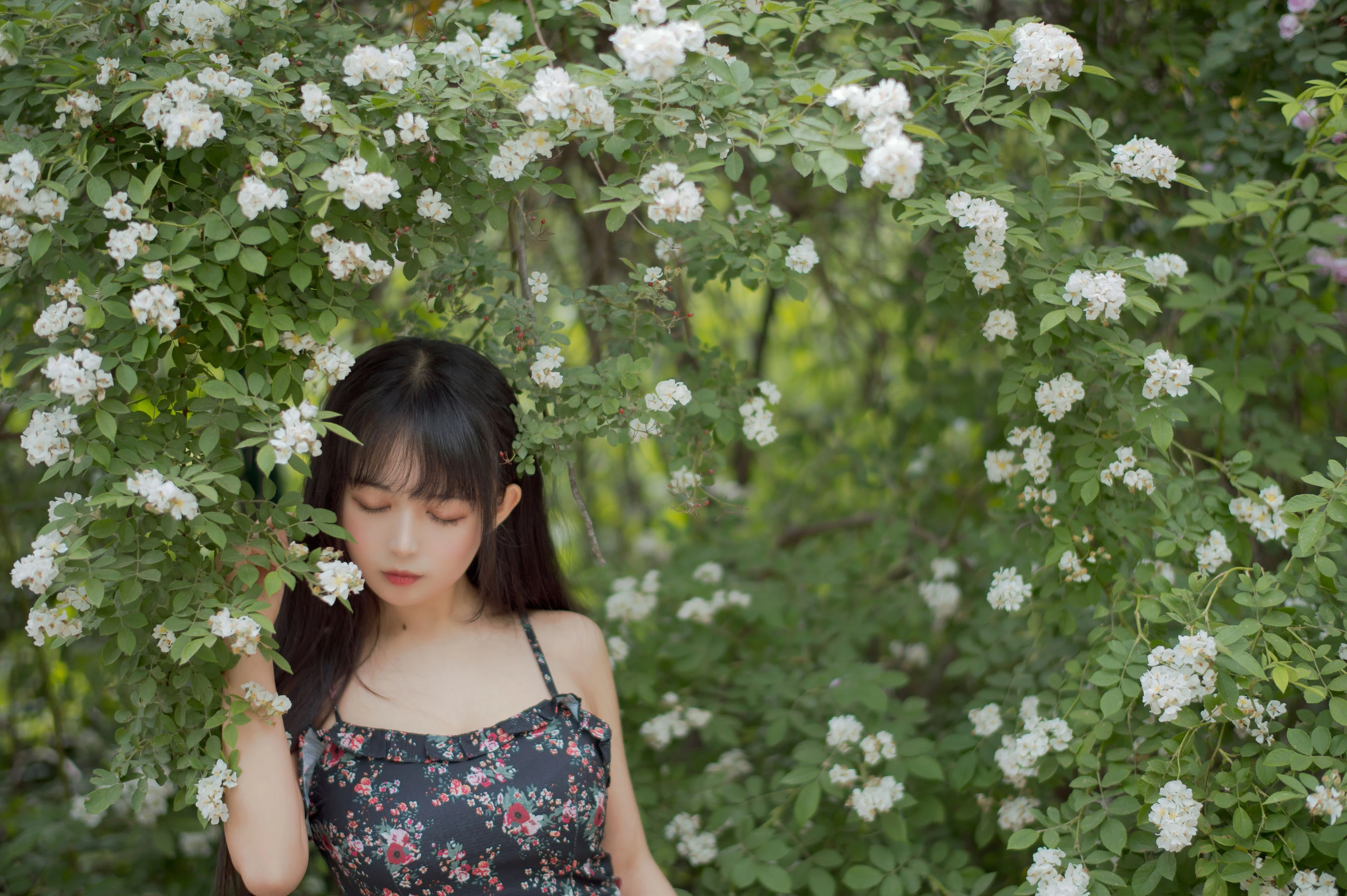 大眼萌妹黑猫猫OvO – 蔷薇1插图2