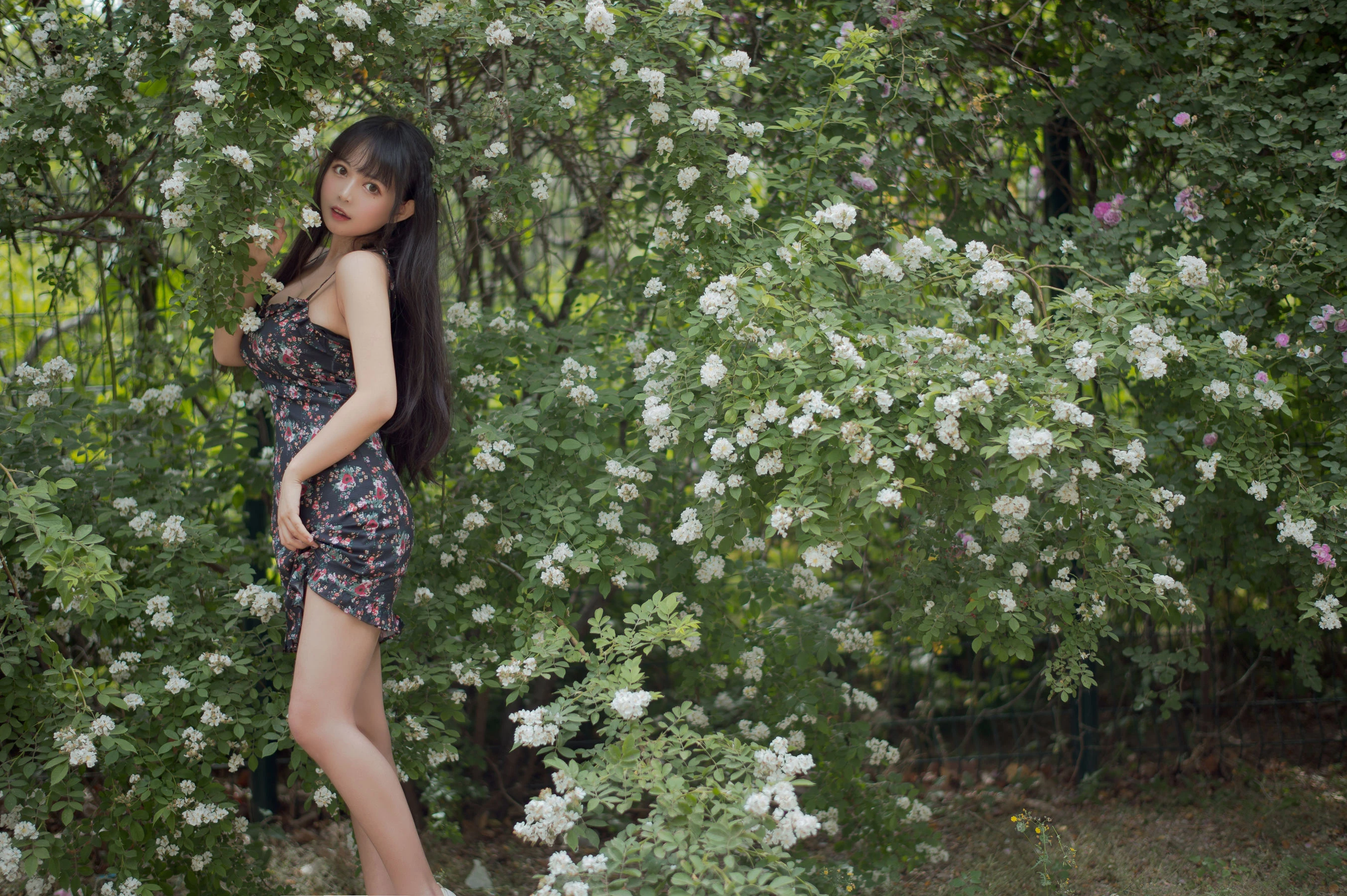 大眼萌妹黑猫猫OvO – 蔷薇1插图6