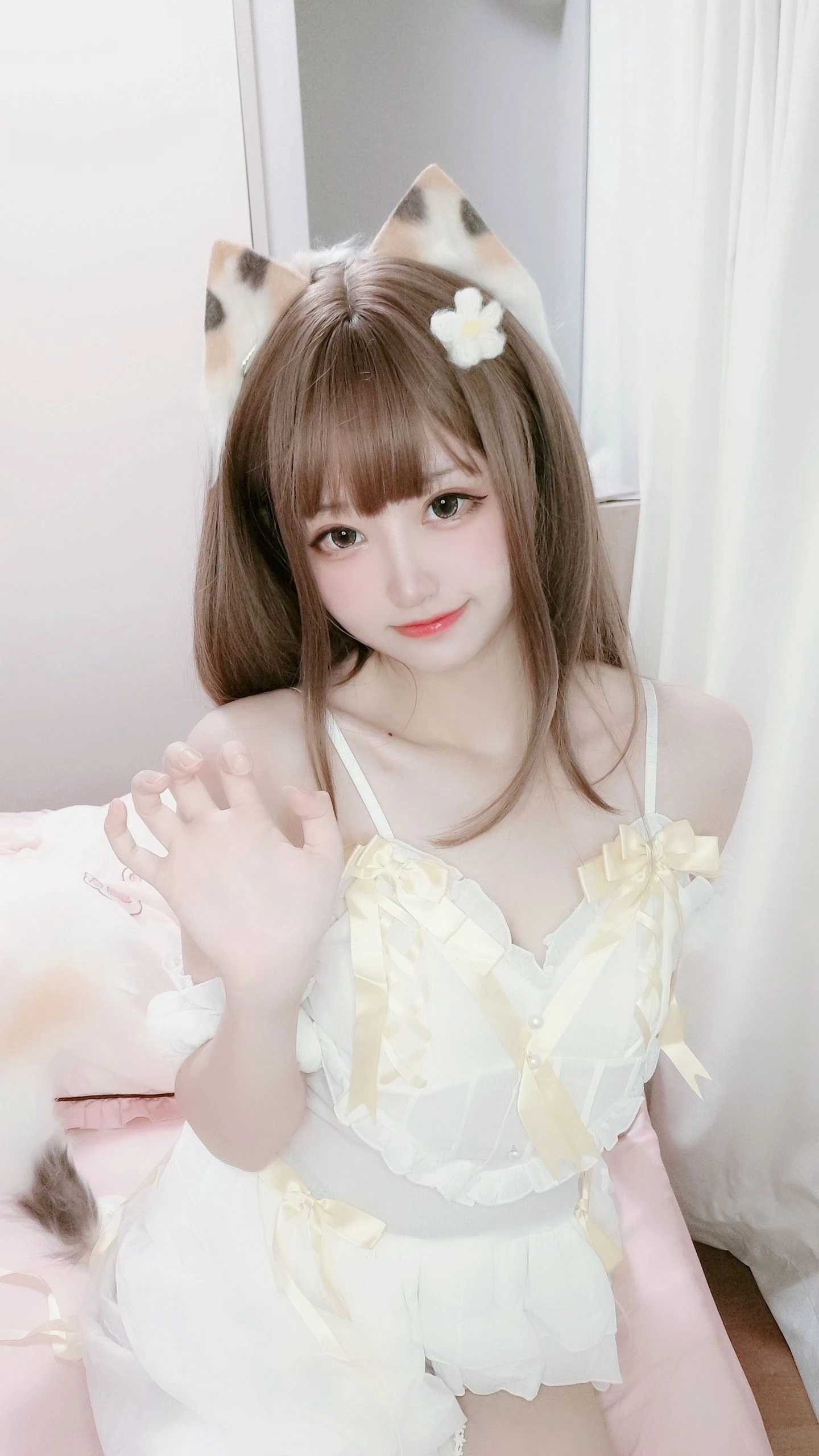 千阳(ちよ) – 三花猫插图3