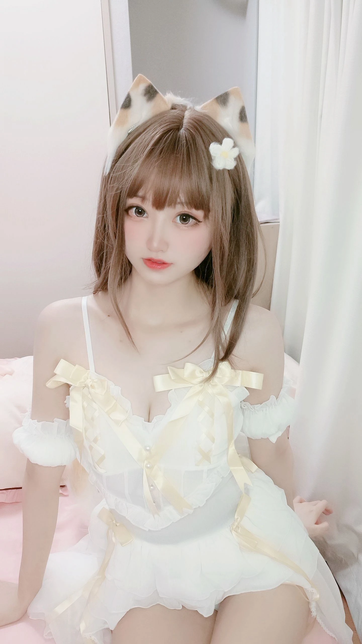 千阳(ちよ) – 三花猫插图5