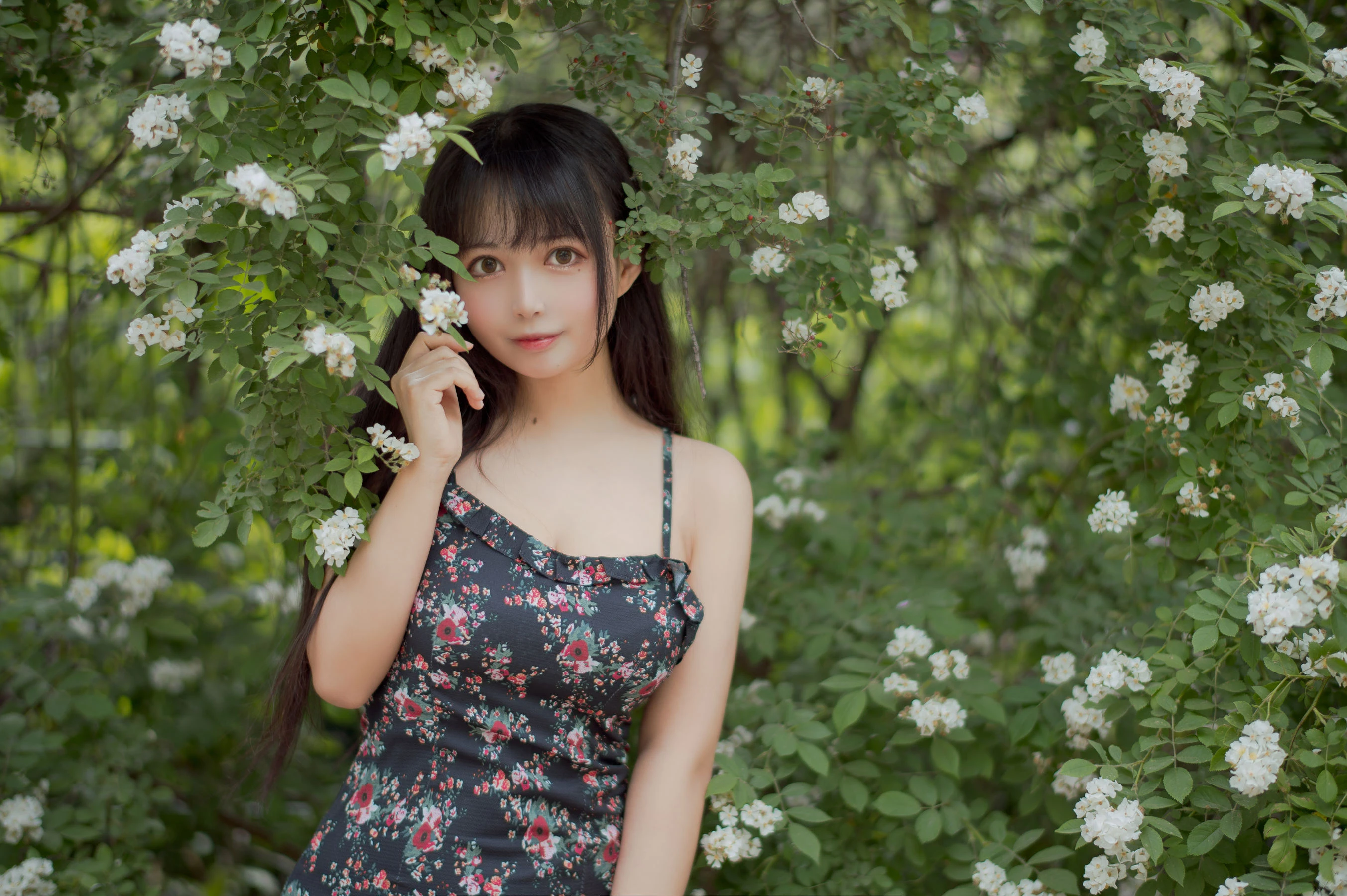 大眼萌妹黑猫猫OvO – 蔷薇1插图1