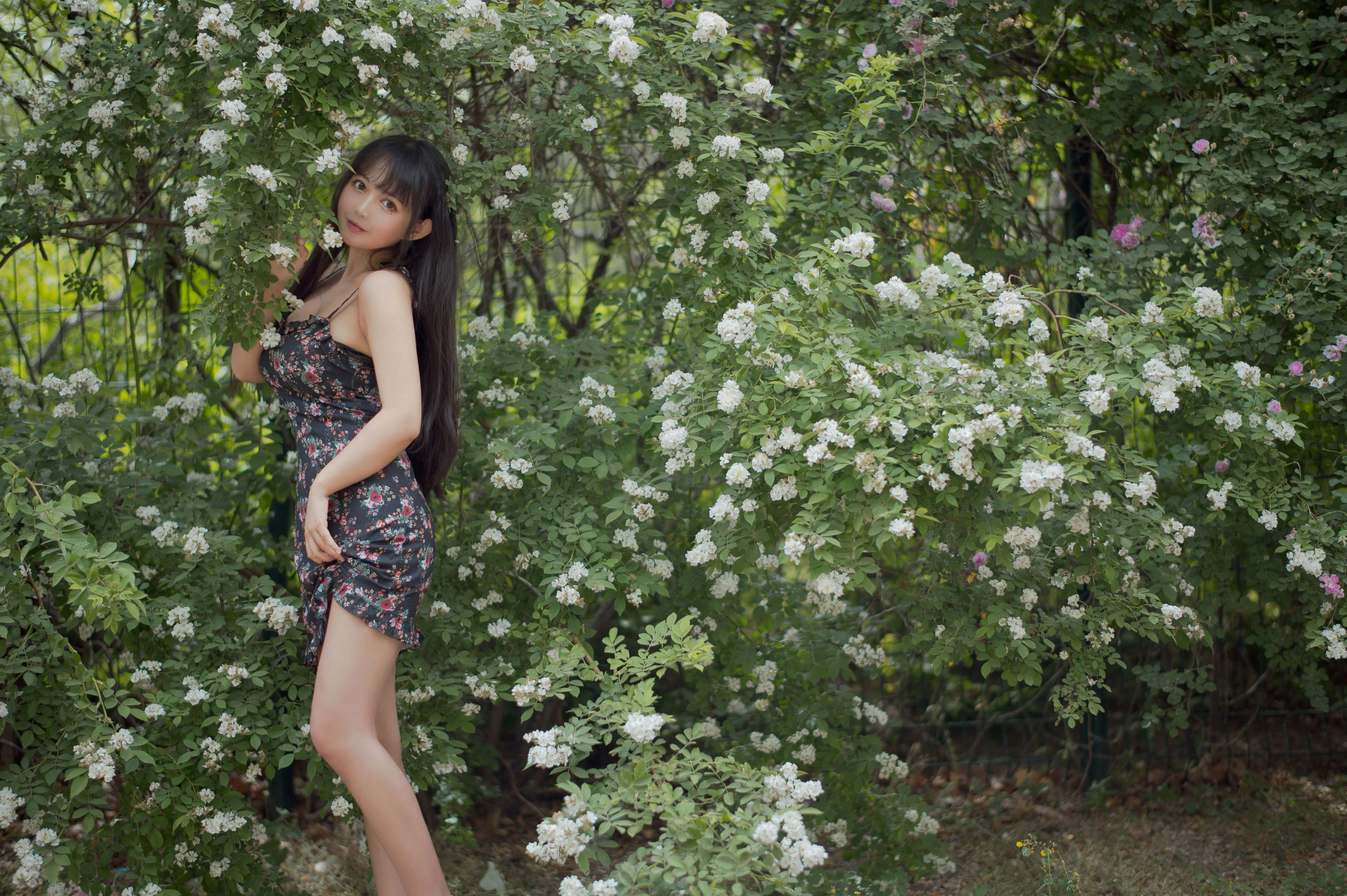 大眼萌妹黑猫猫OvO – 蔷薇1插图5