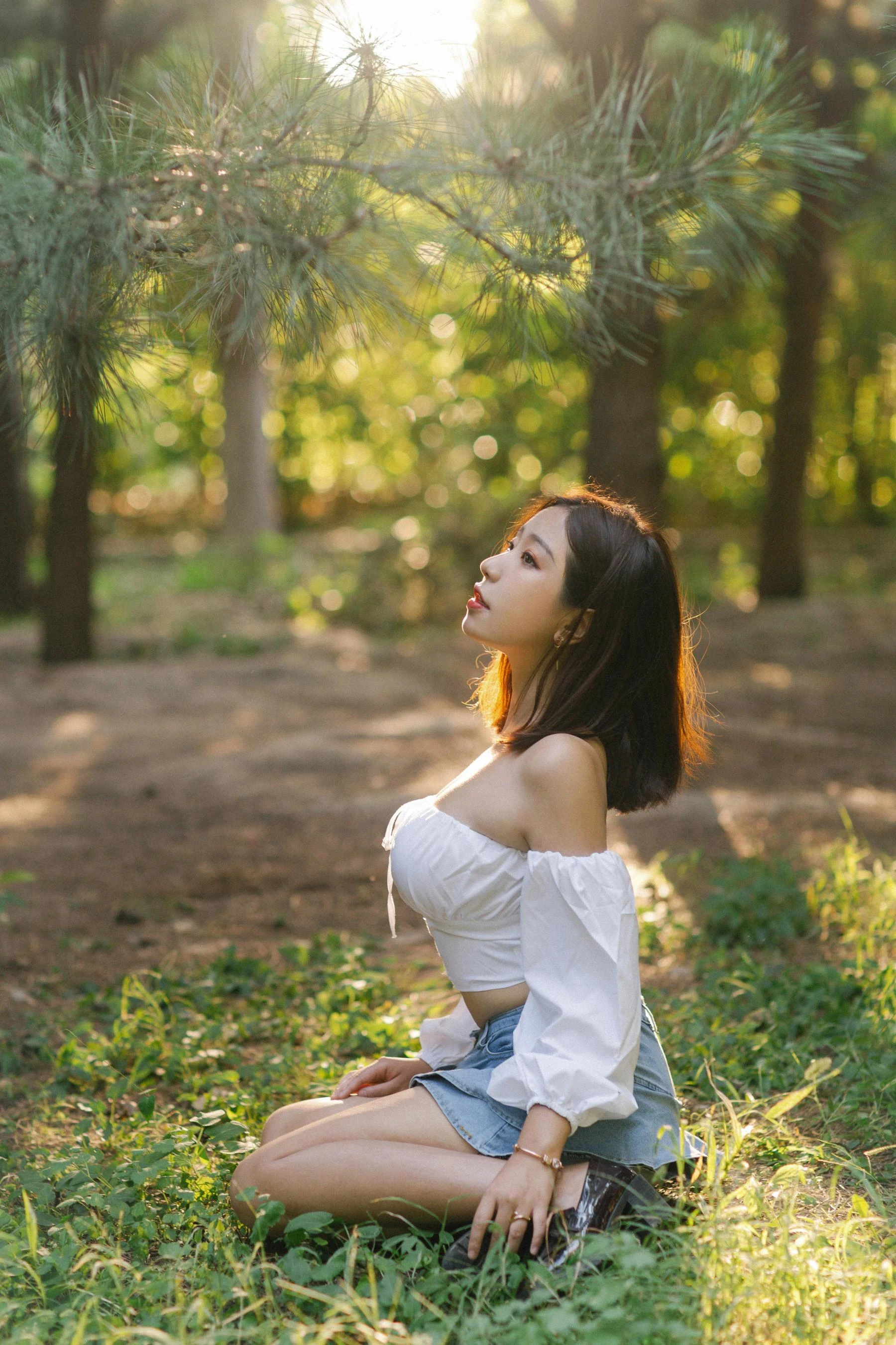 动漫博主穆零Mu0 – 森林插图3