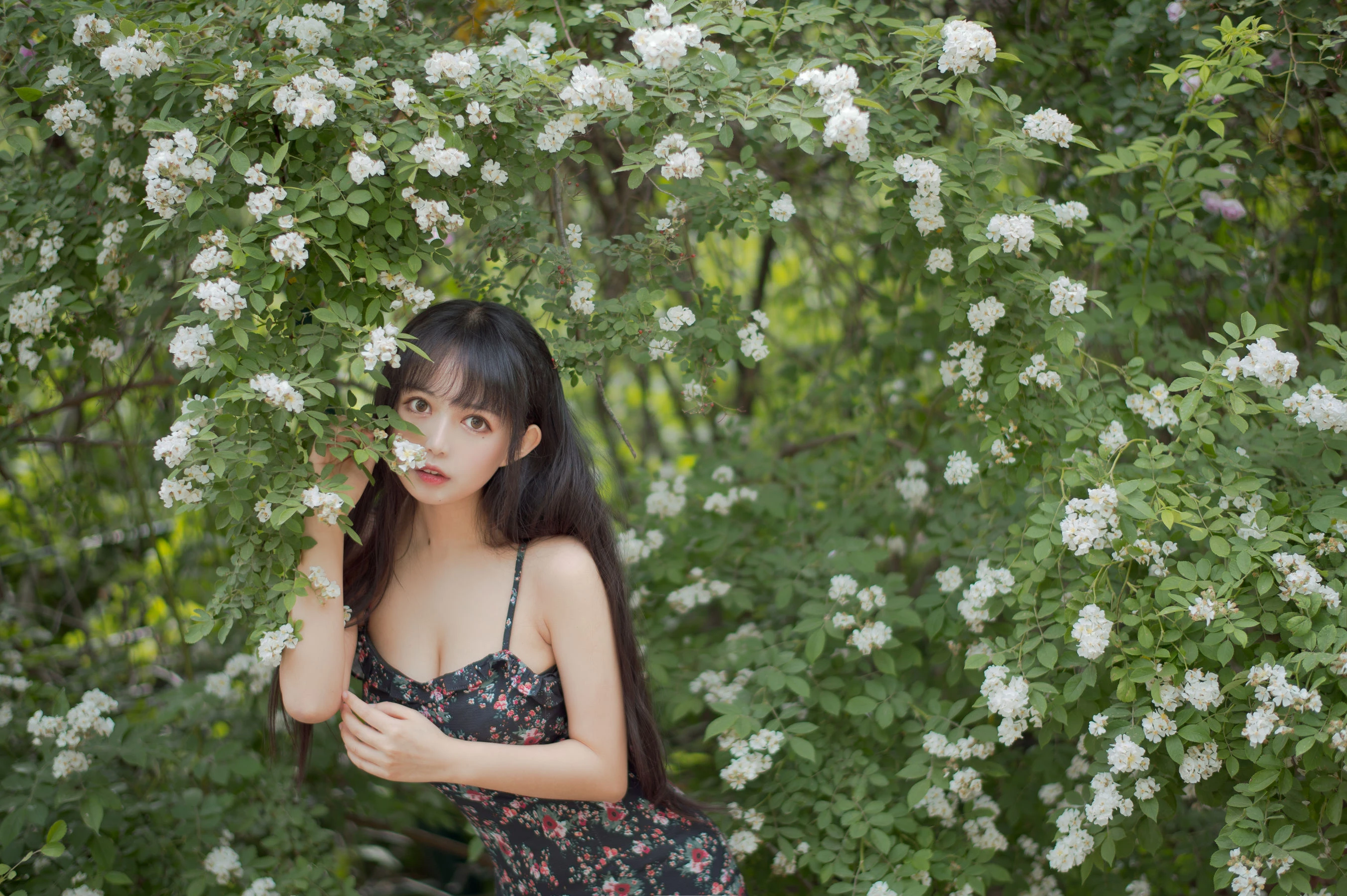 大眼萌妹黑猫猫OvO – 蔷薇1插图3