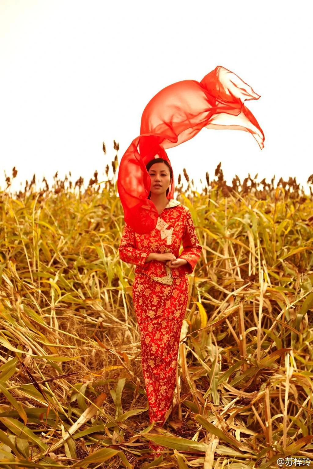 苏梓玲《红高粱》超高清完整版插图5