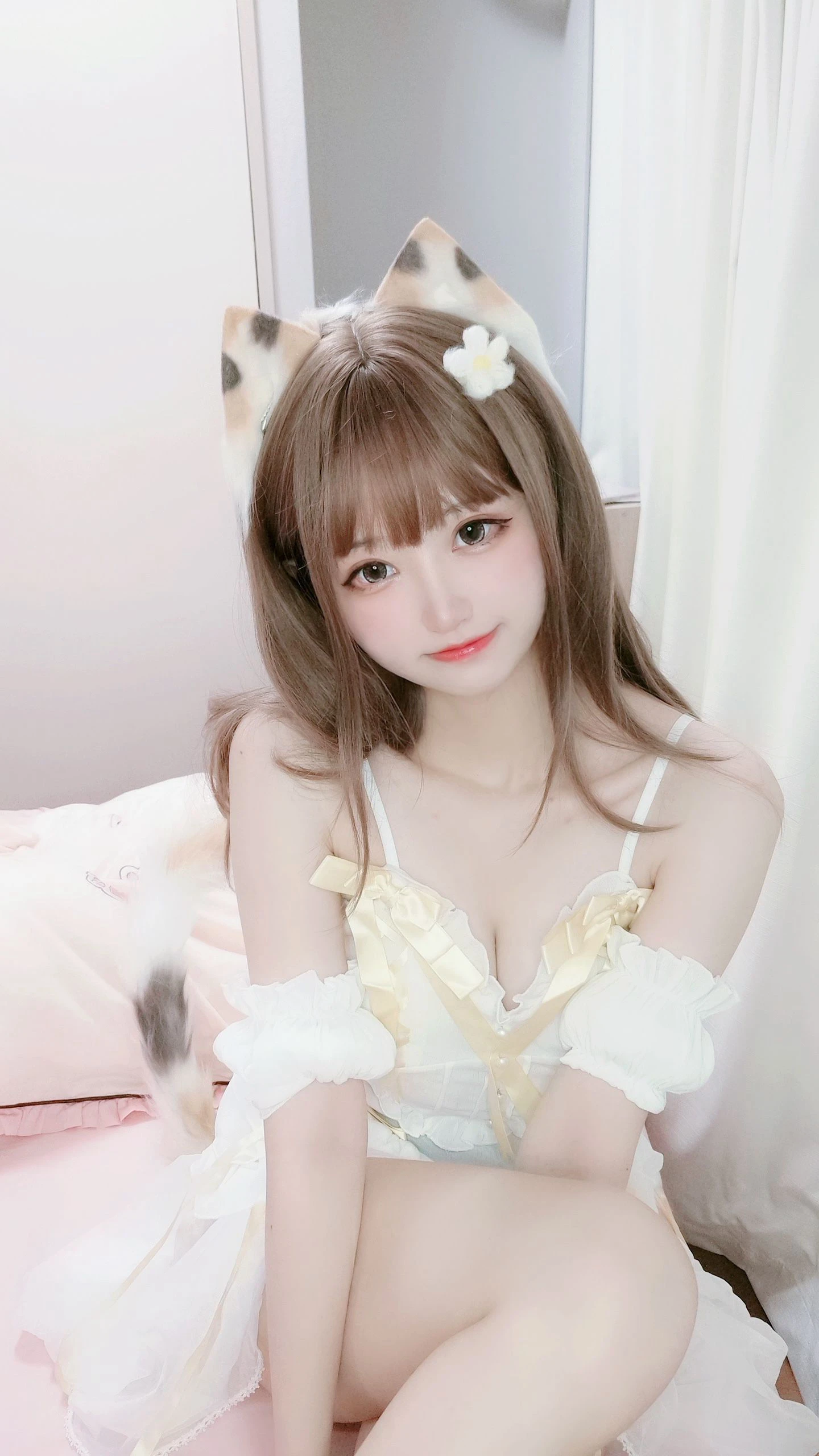 千阳(ちよ) – 三花猫插图4