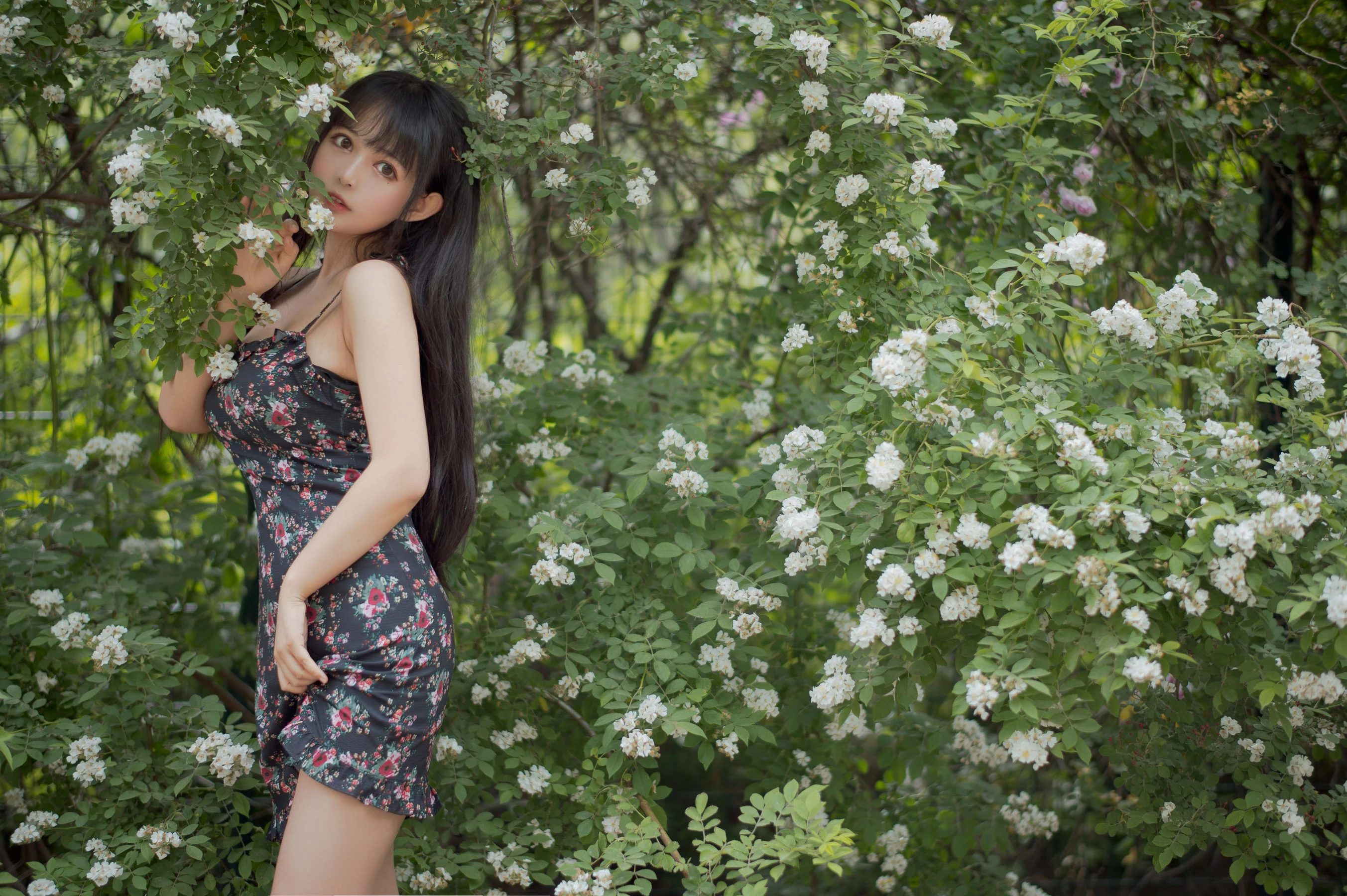 大眼萌妹黑猫猫OvO – 蔷薇1插图4