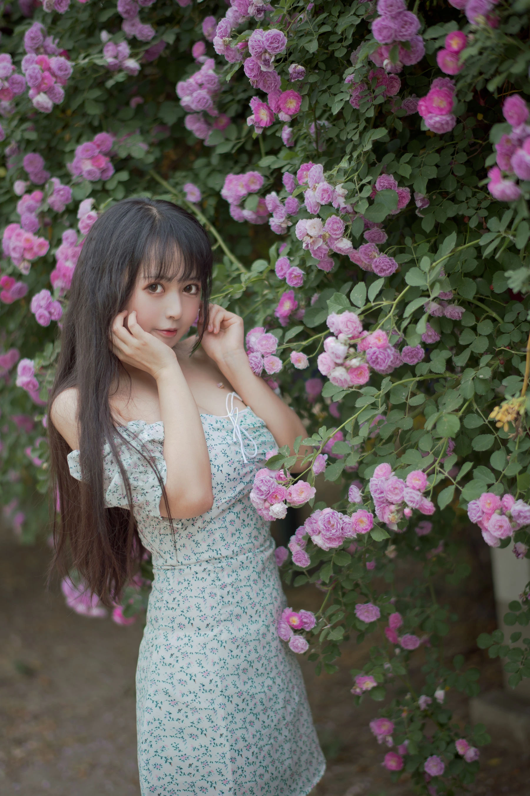 大眼萌妹黑猫猫OvO – 蔷薇2插图7