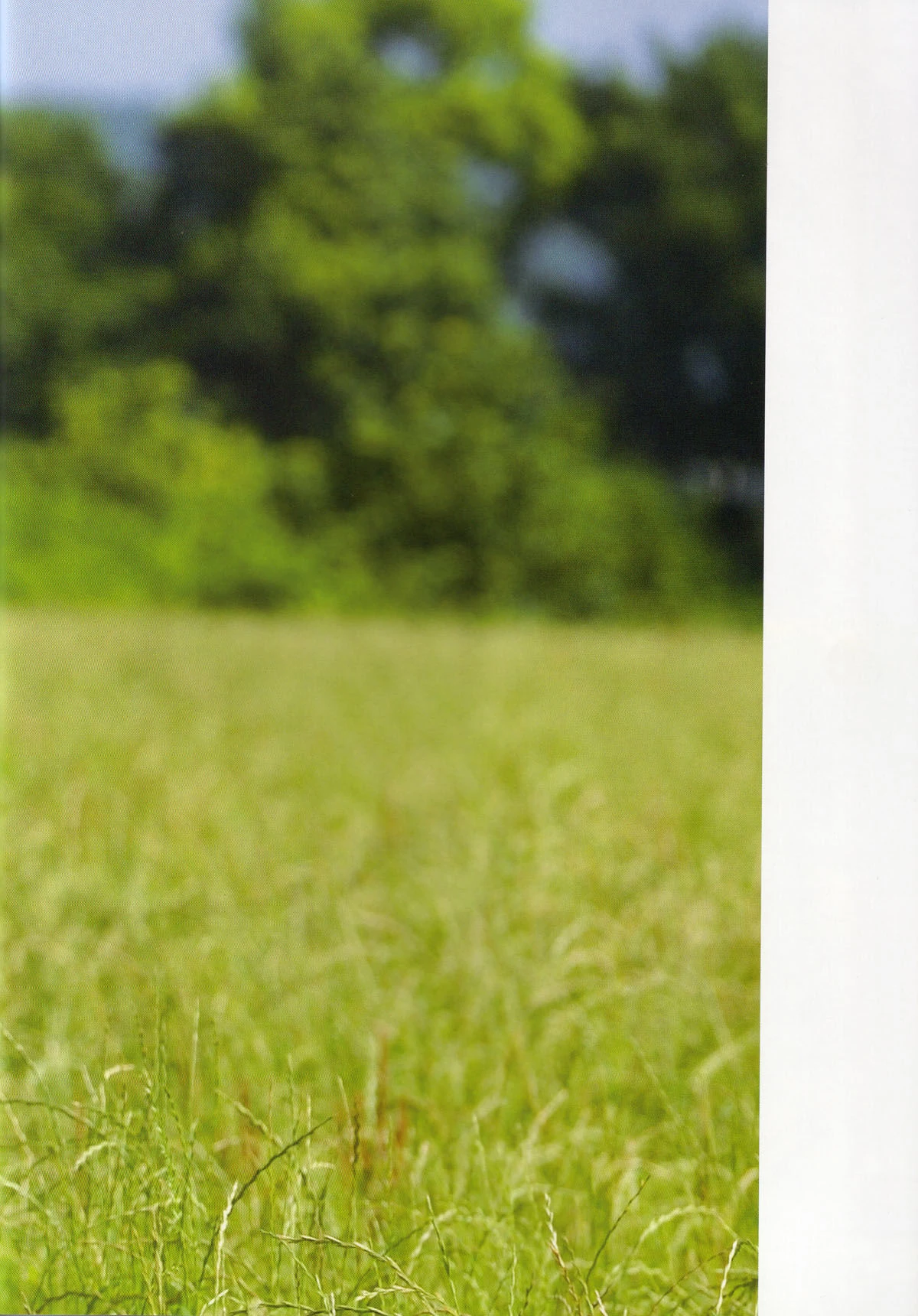 堀北真希 映画「アルゼンチンババア」ビジュアルBOOK「Cinematic」插图5