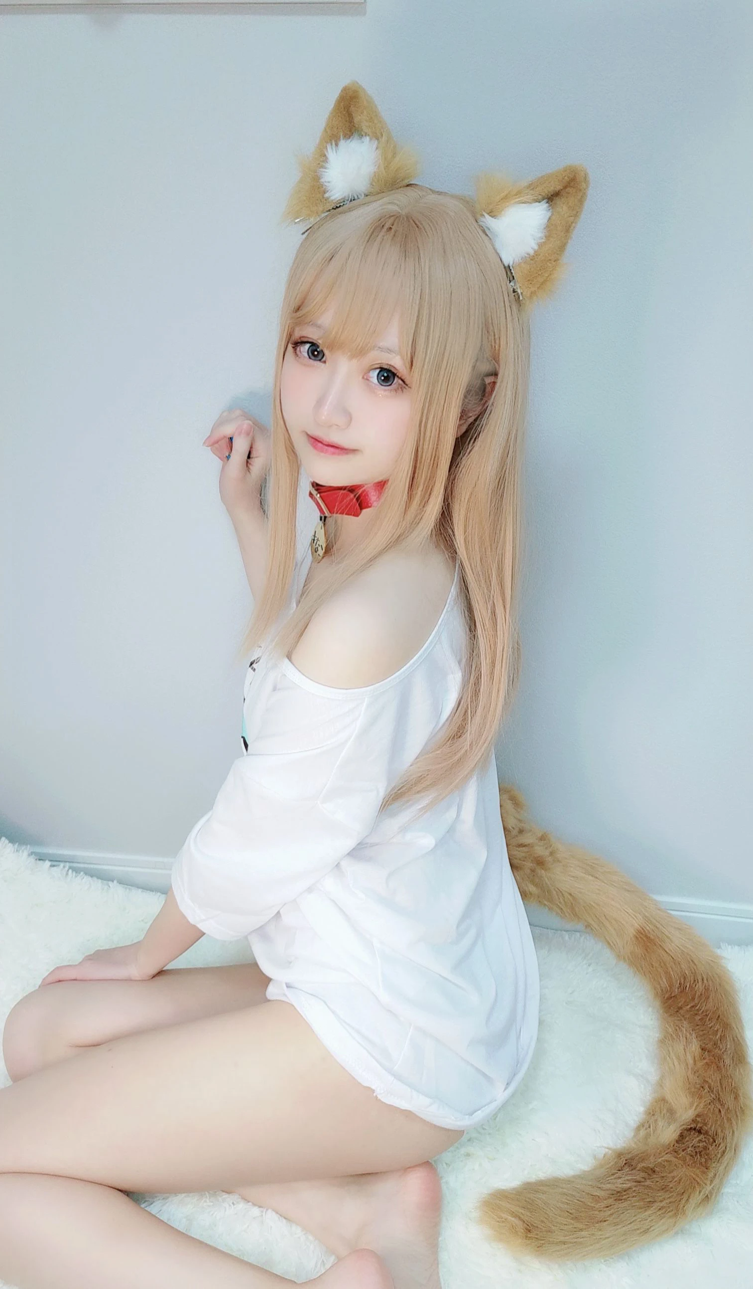 千阳(ちよ) – 黄豆粉插图1