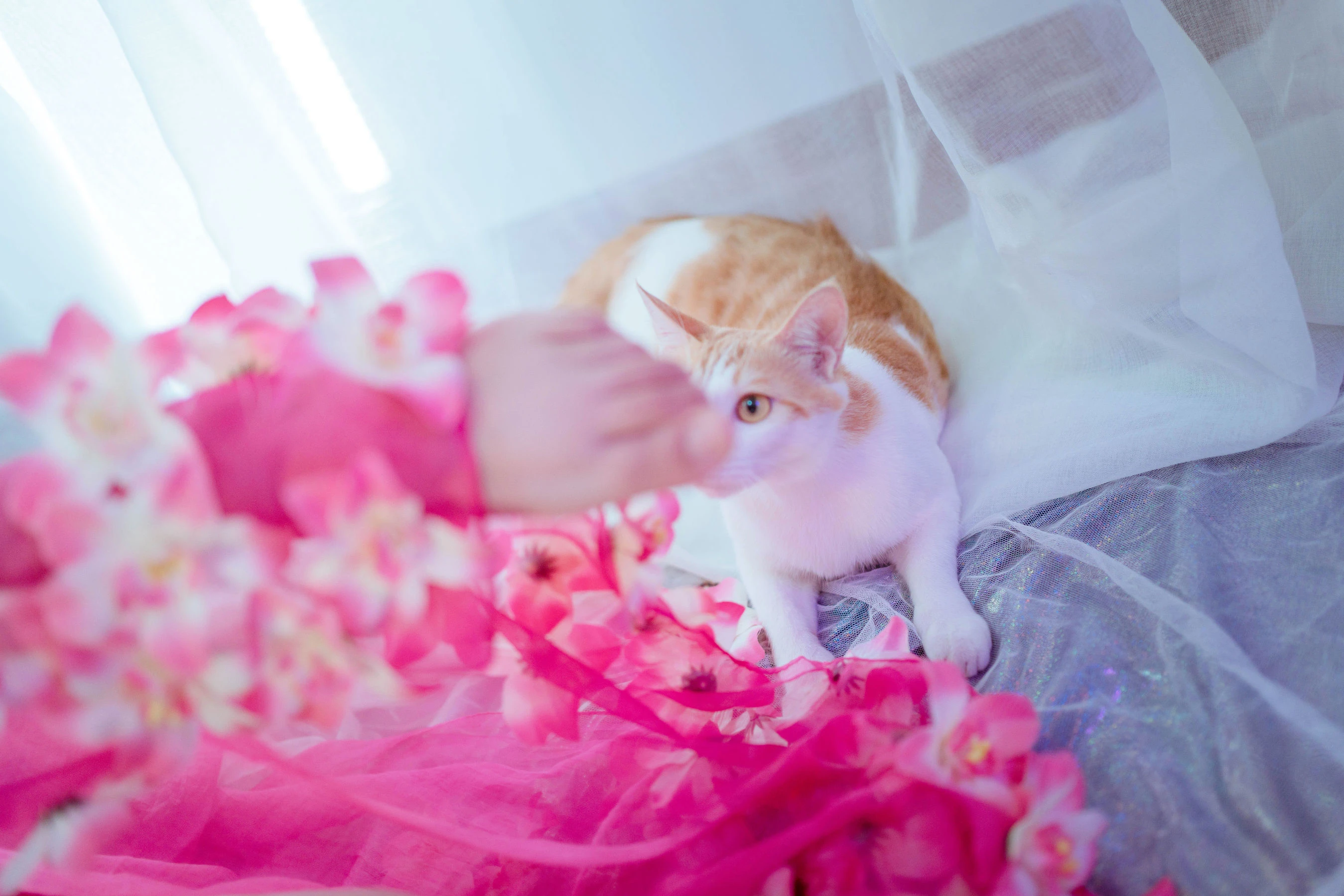 阿半今天很开心 – 杀生学院插图3