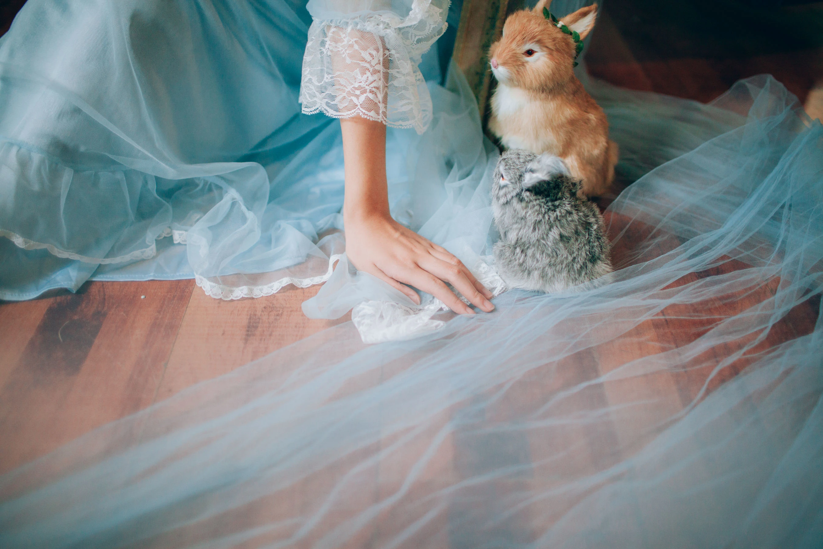 可爱妹妹樱群 纱插图2