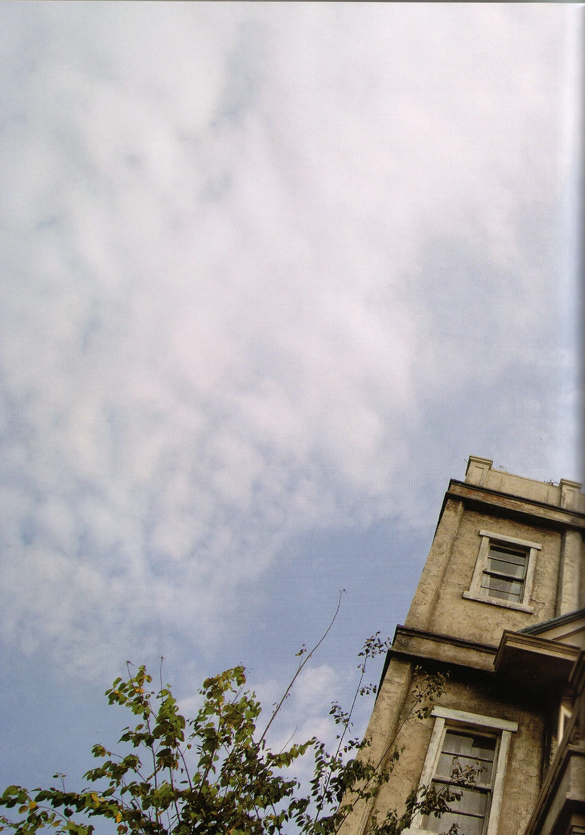 堀北真希 映画「アルゼンチンババア」ビジュアルBOOK「Cinematic」插图2