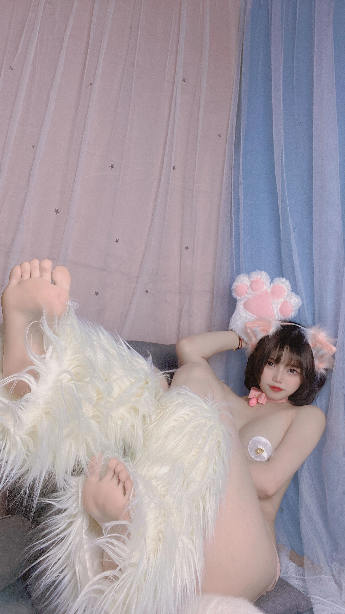 七月喵子 – 猫咪插图2