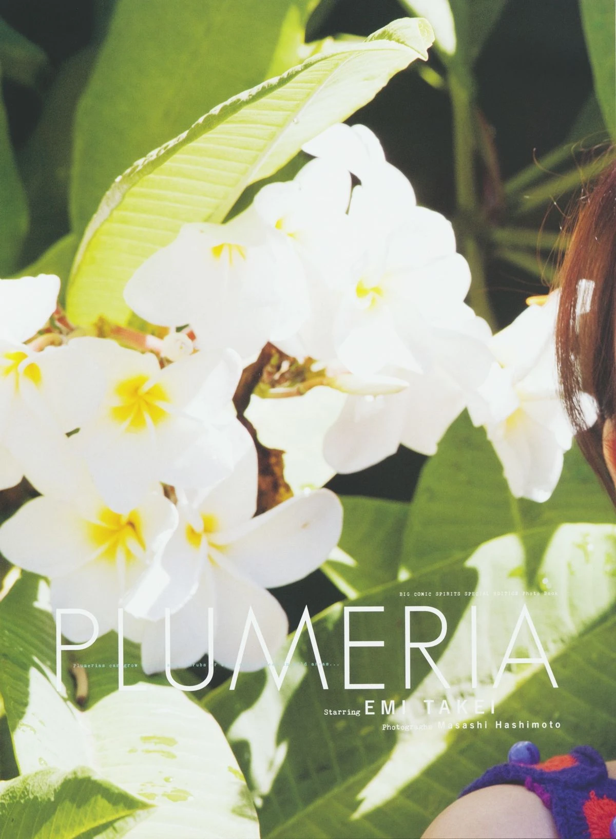 武井咲 《PLUMERIA》 摄影：桥本雅司插图7
