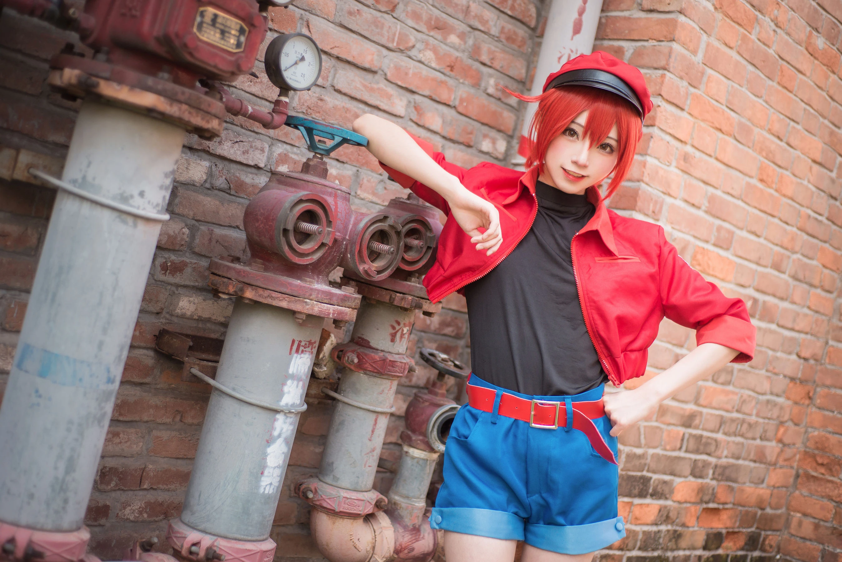 动漫博主Kitaro_绮太郎 工作细胞插图1