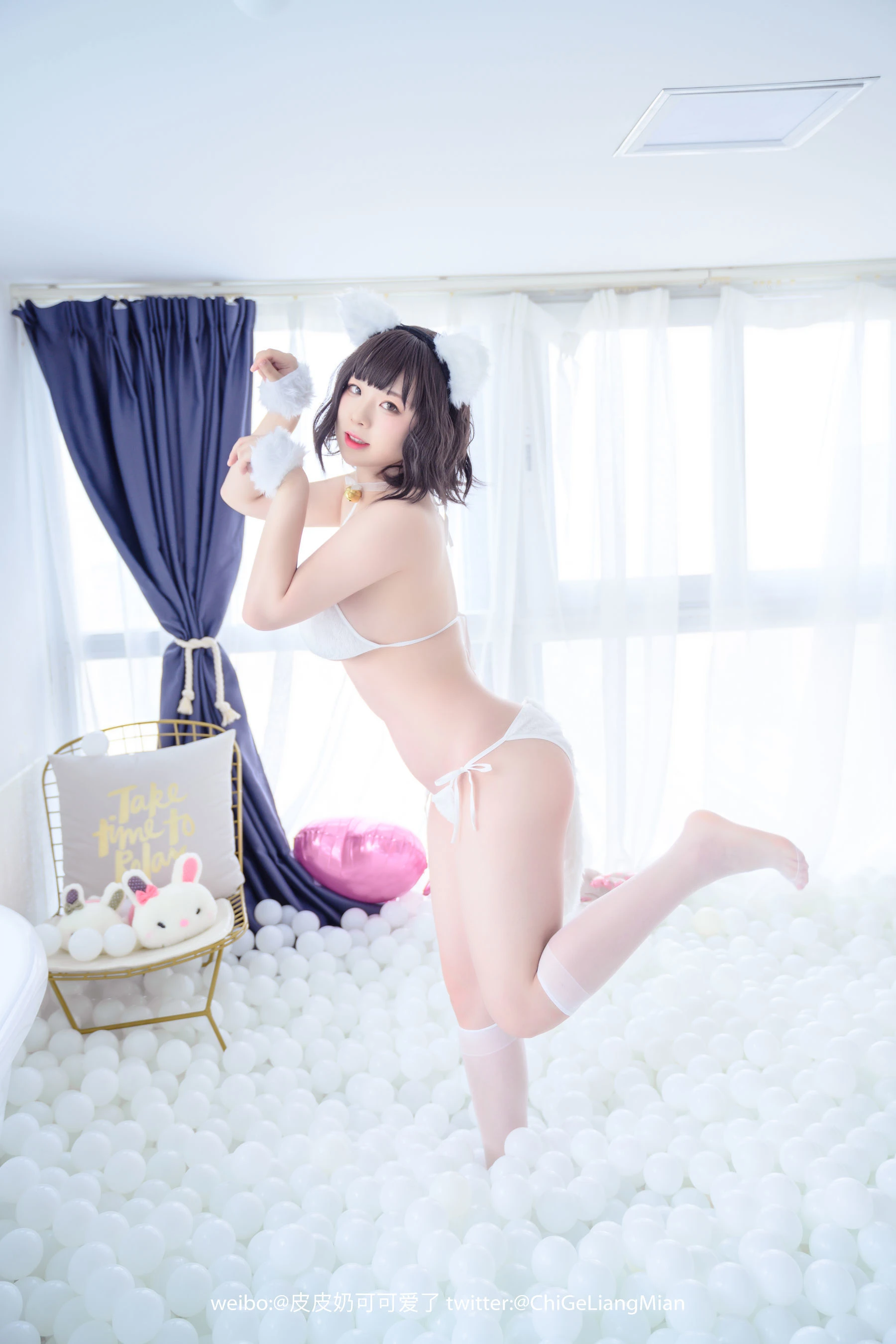 皮皮奶可可爱了啦 白猫|图集秀