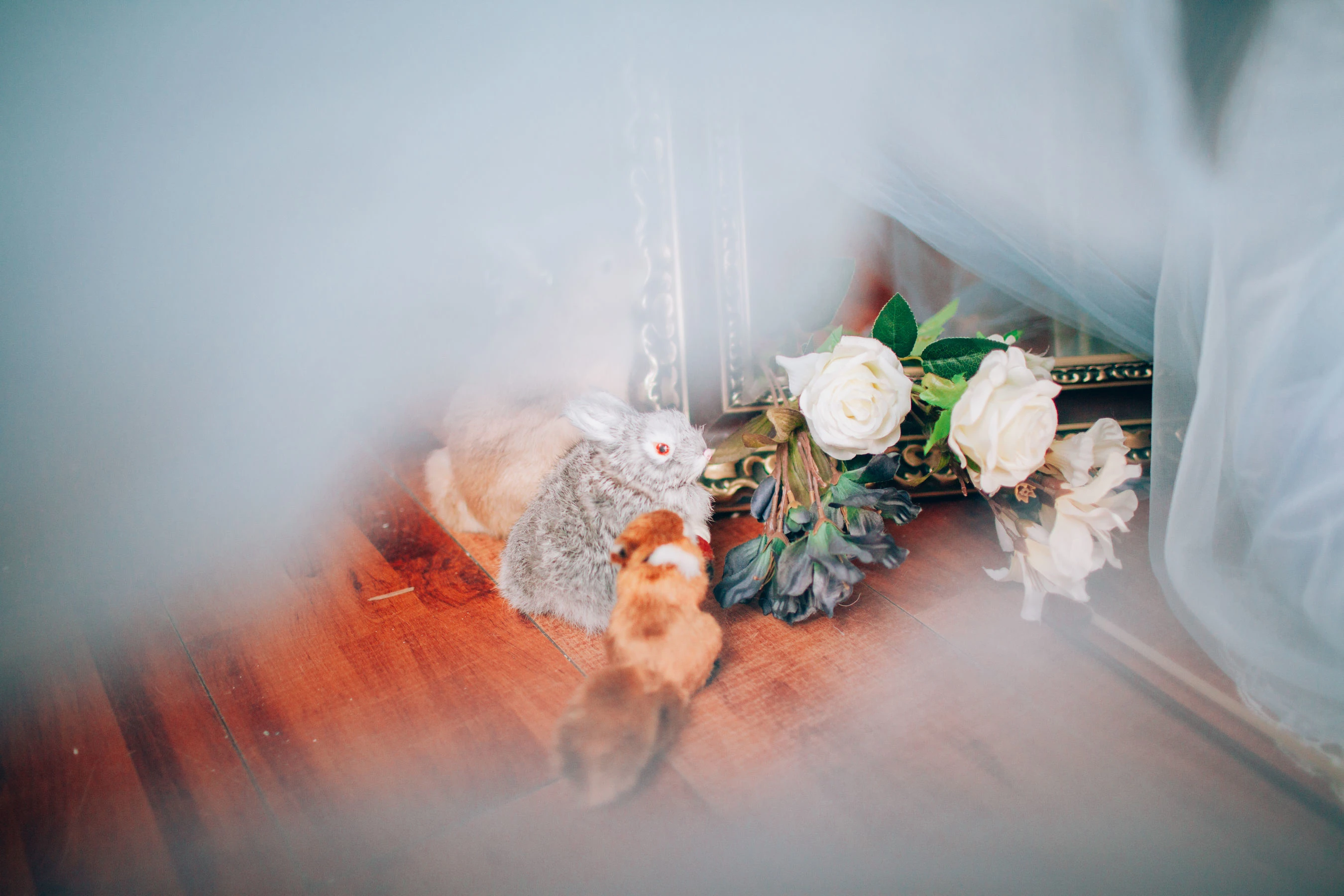 可爱妹妹樱群 纱插图6