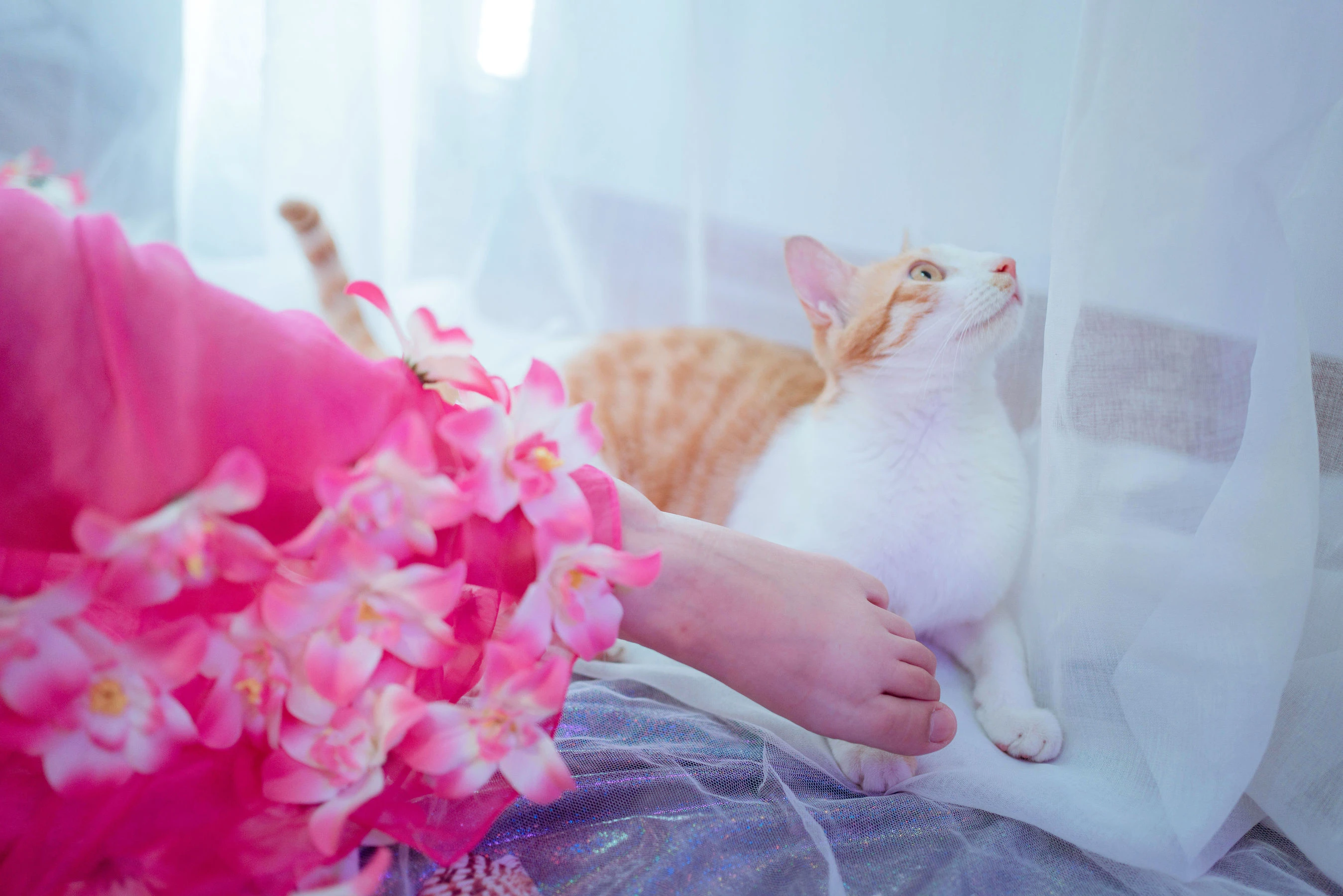 阿半今天很开心 – 杀生学院插图1