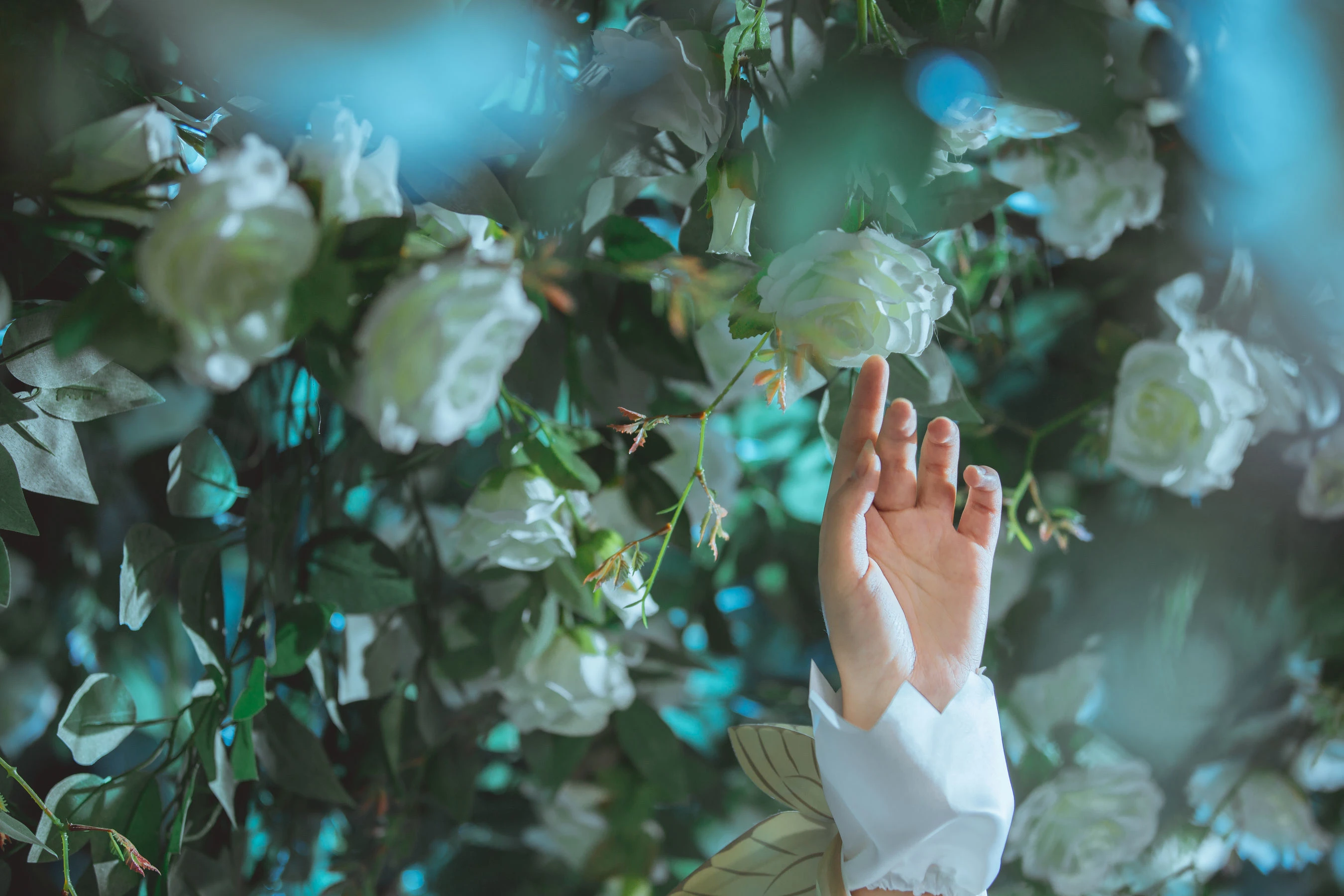 人气coser戚顾儿MIKI 王者荣耀 貂蝉金色仲夏夜之梦插图4