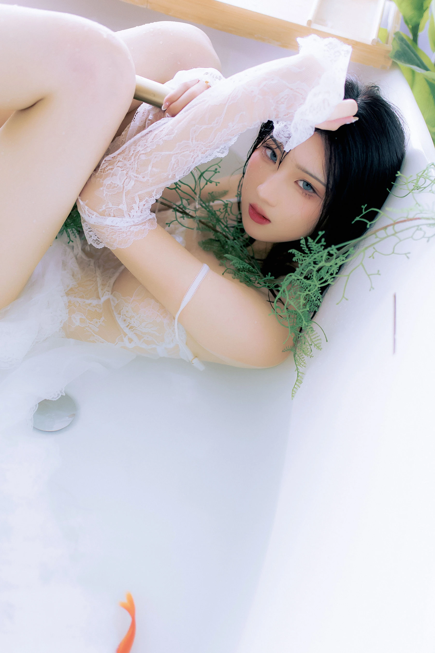 瓦斯塔亚小龙虾 – 鲸插图1