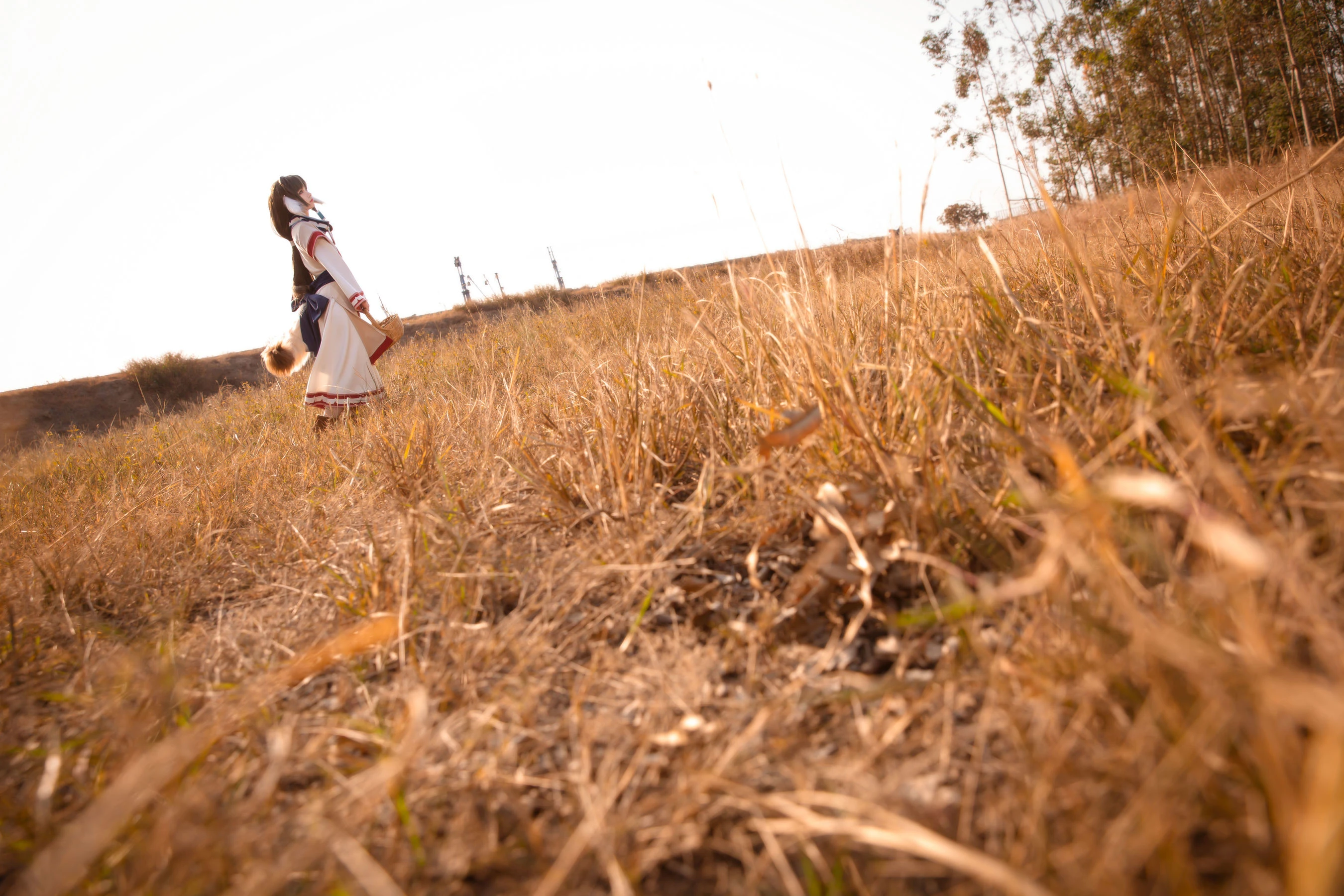 动漫博主G44不会受伤 – 艾露露插图2