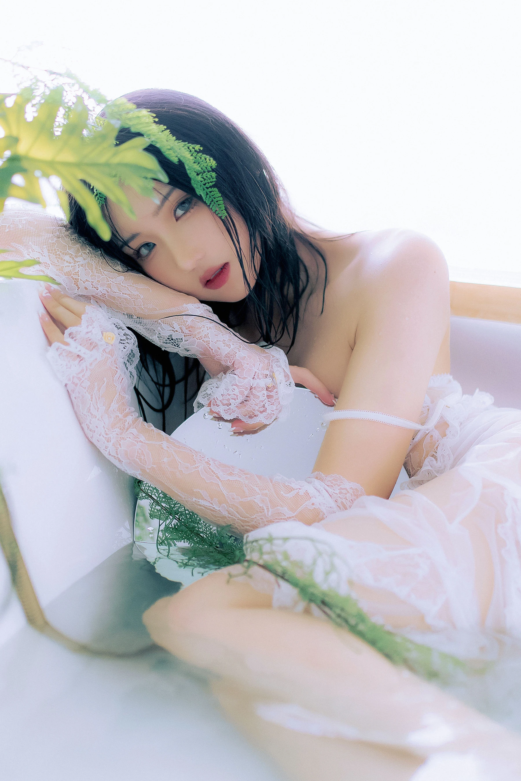 瓦斯塔亚小龙虾 – 鲸插图2