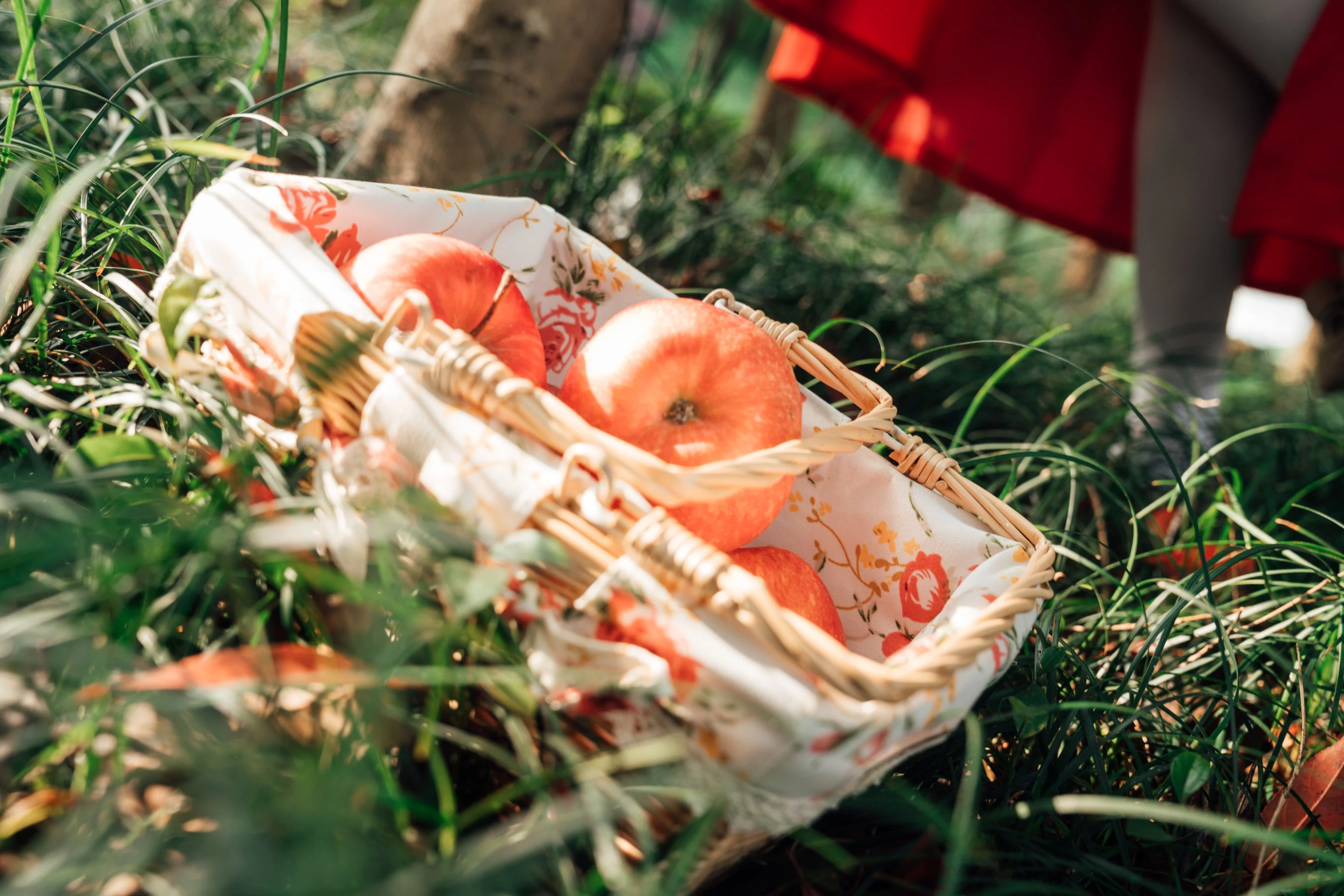 萌妹奈汐酱nice – 大红帽插图3