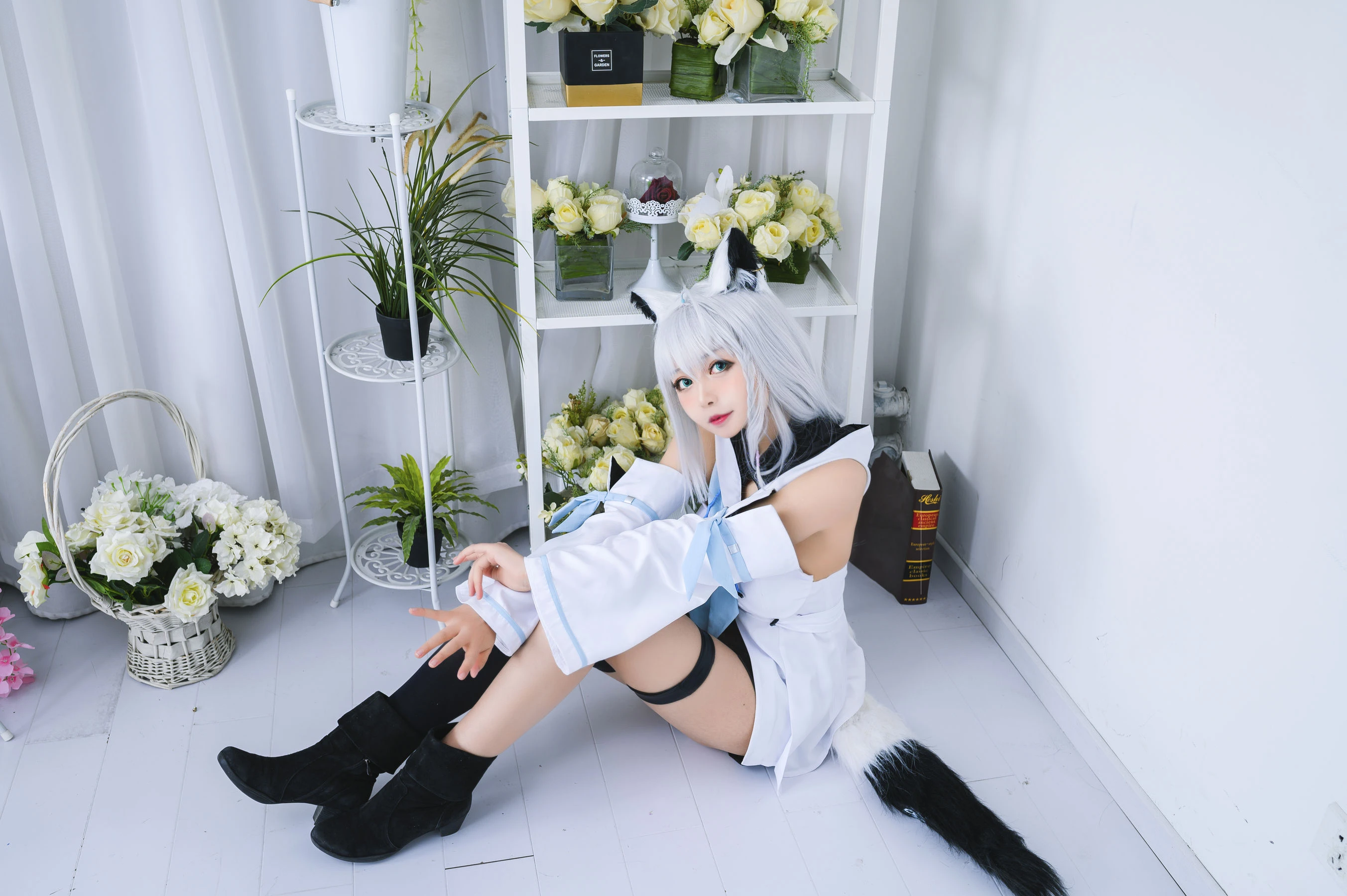 大眼萌妹黑猫猫OvO – 白上吹雪插图1