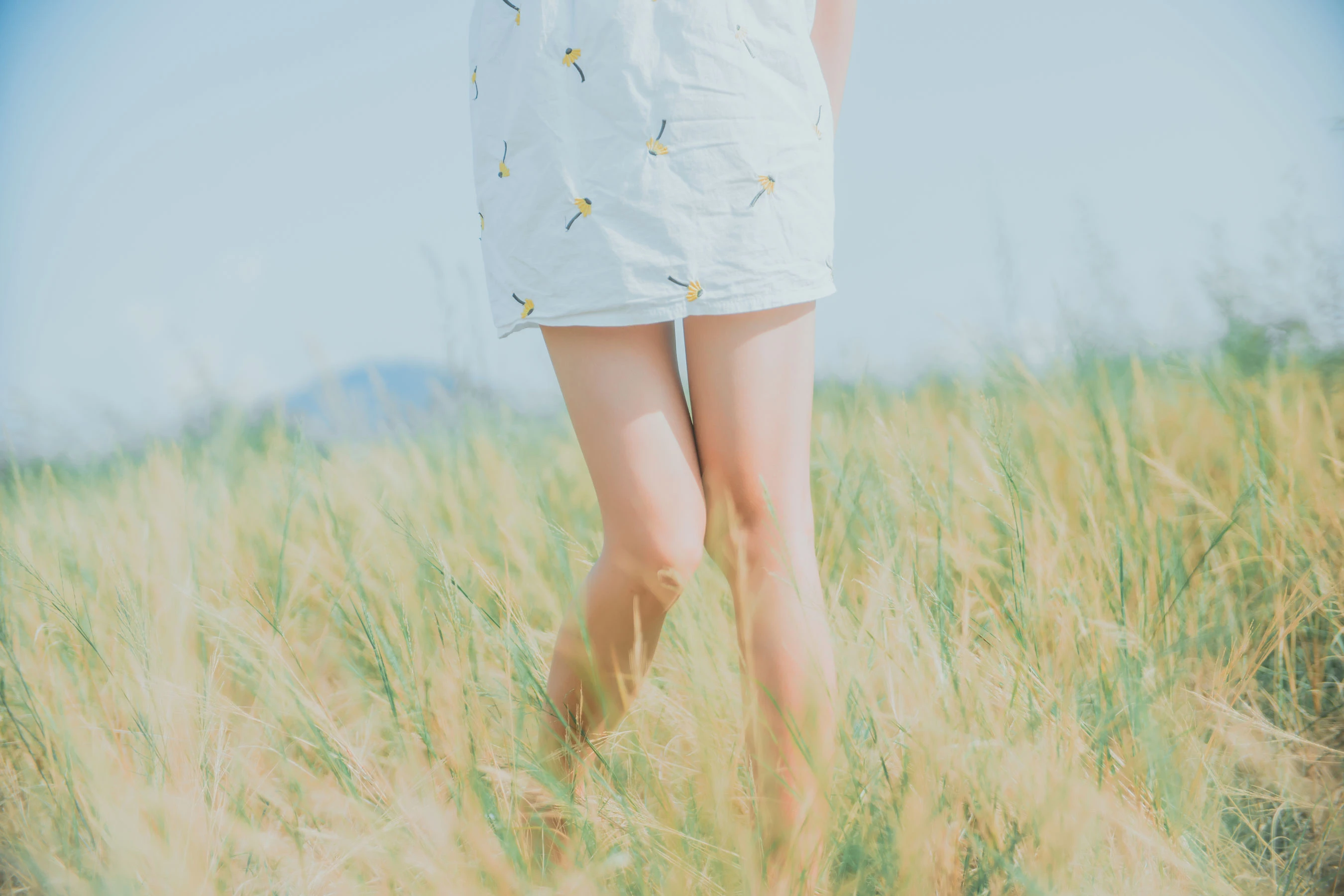 桜桃喵《田野》》插图7