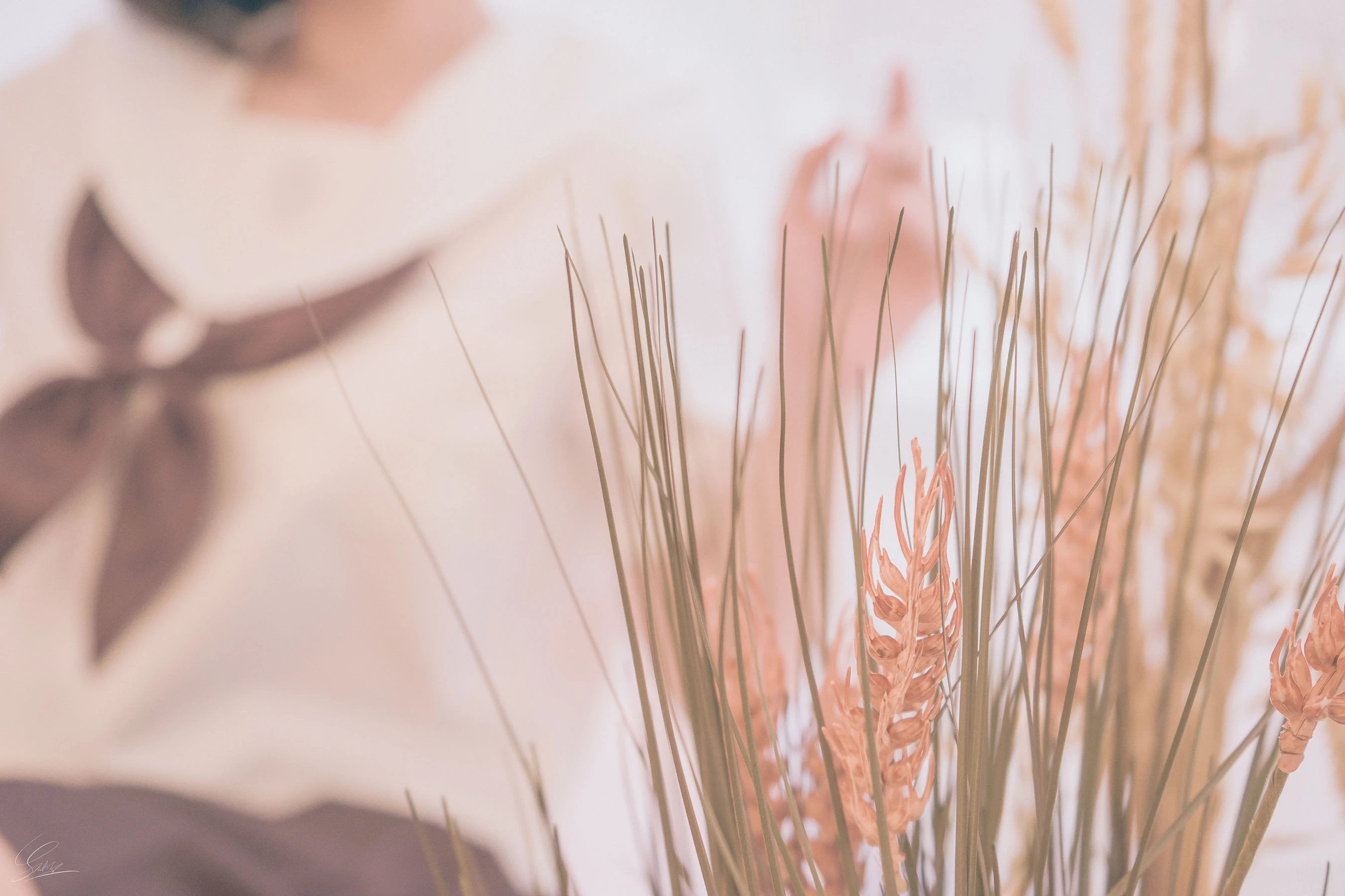 Messie Huang – Birthday Seifuku插图1