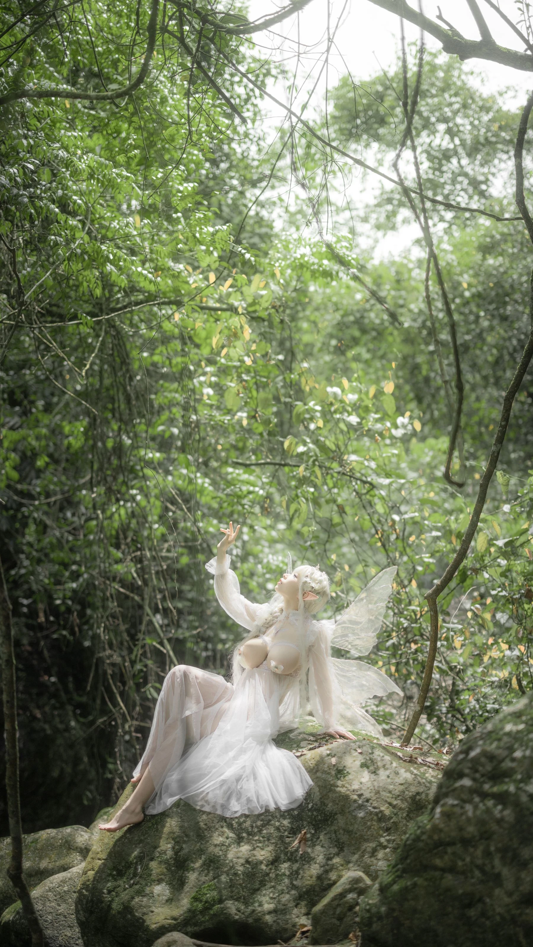 自闭颜球球(无颜小天使wy) – 林中精灵插图2