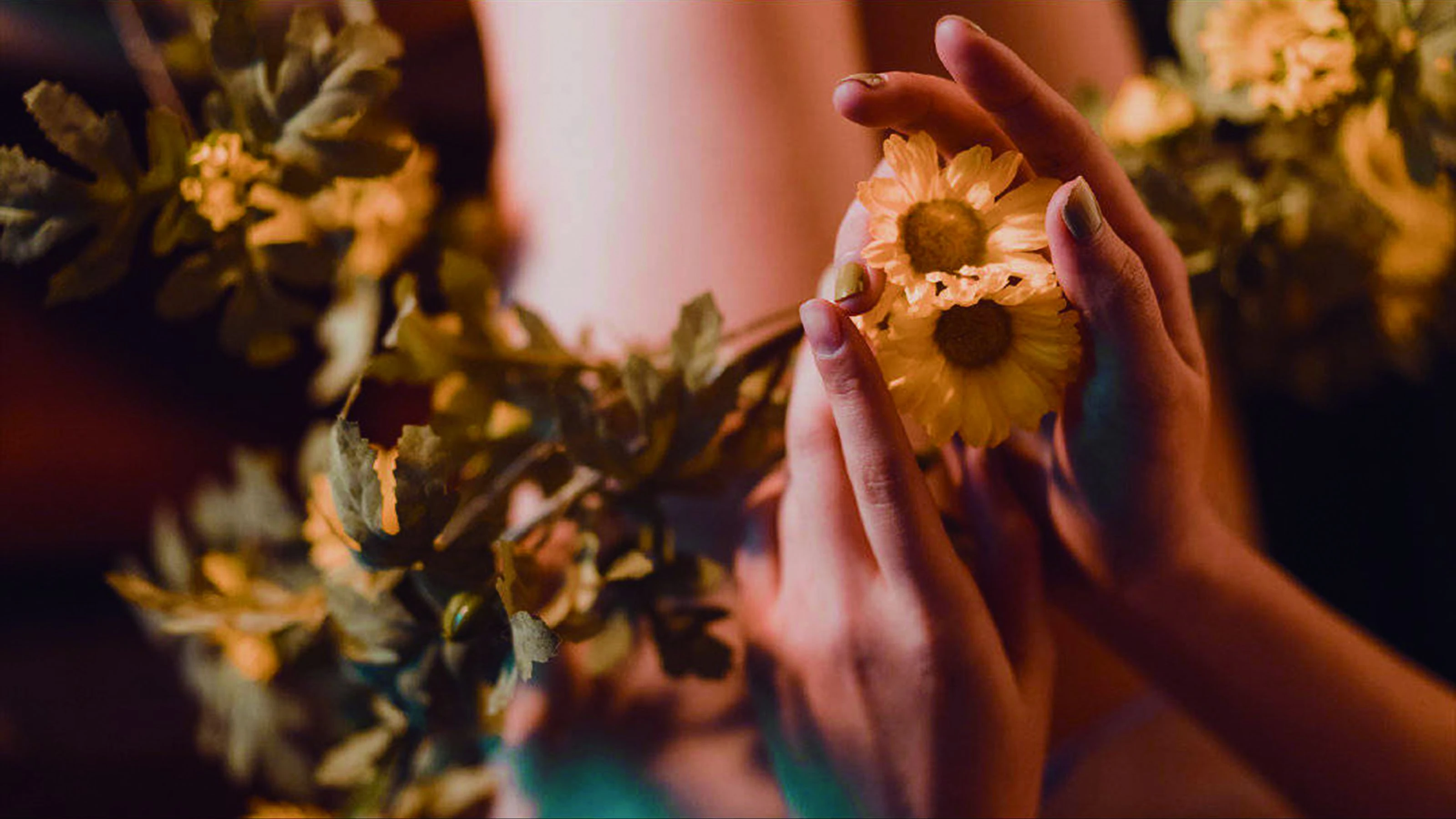 萌妹奈汐酱nice 小雏菊插图2