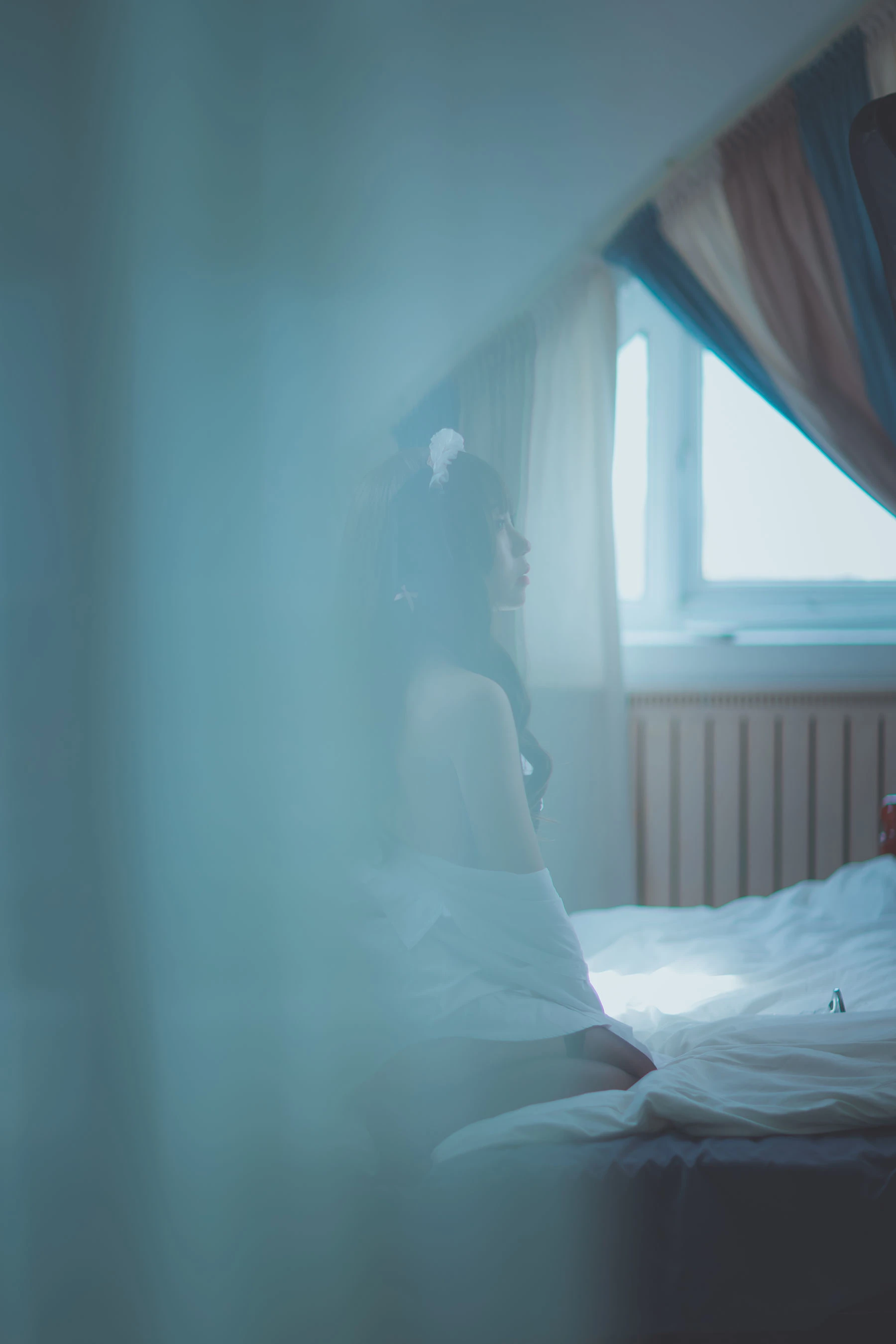 动漫博主从从从从鸾 垂耳兔插图3