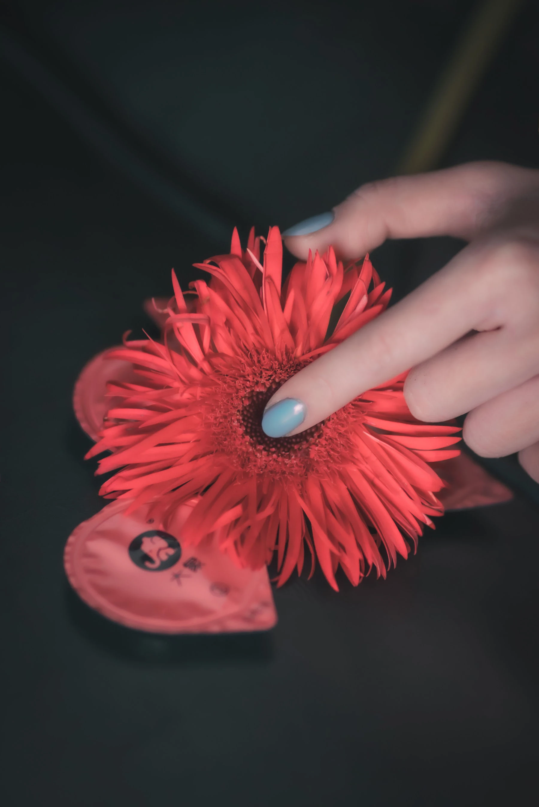 COS少女星野咪兔 – 花吃了那女孩插图4