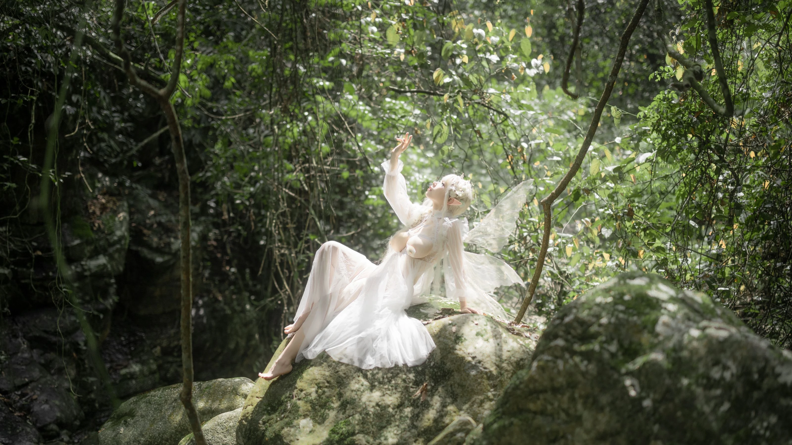 自闭颜球球(无颜小天使wy) – 林中精灵插图1